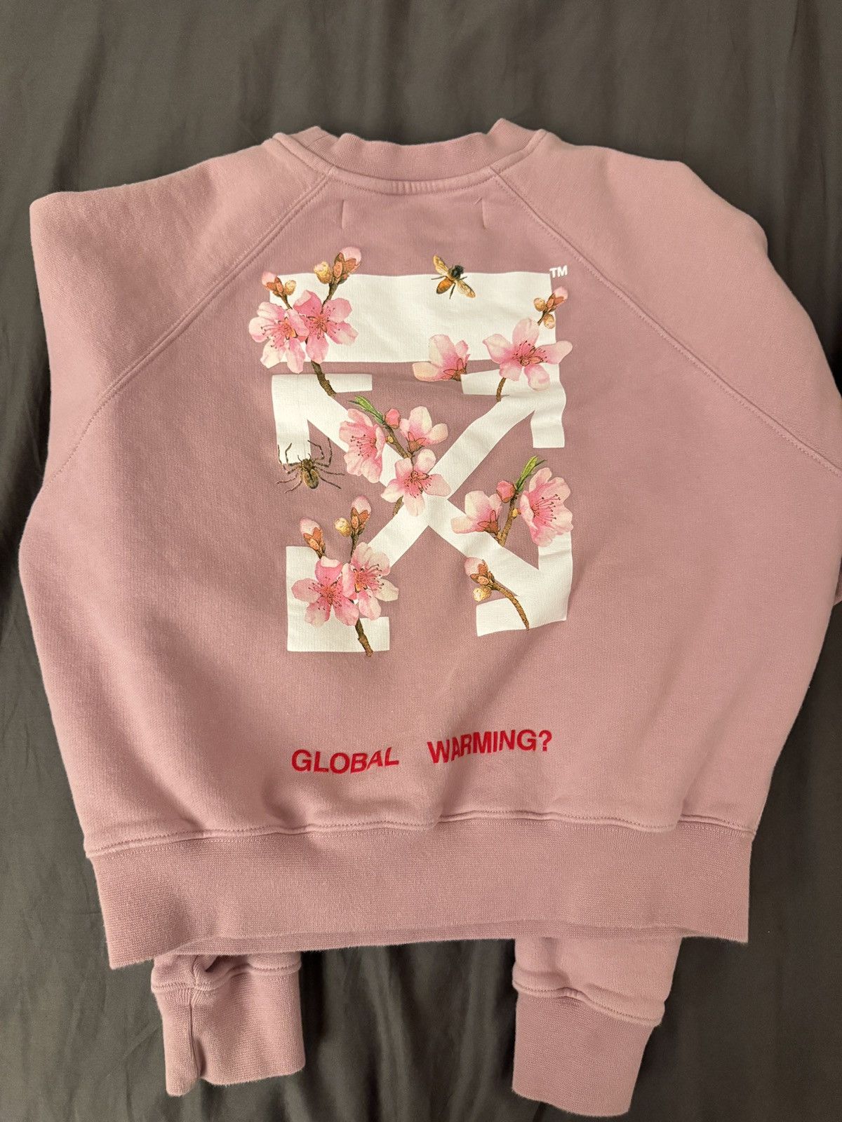 Off-White Off-white global warming sweatshirt Size XS / US 0-2 / IT 36-38 - 2 Thumbnail