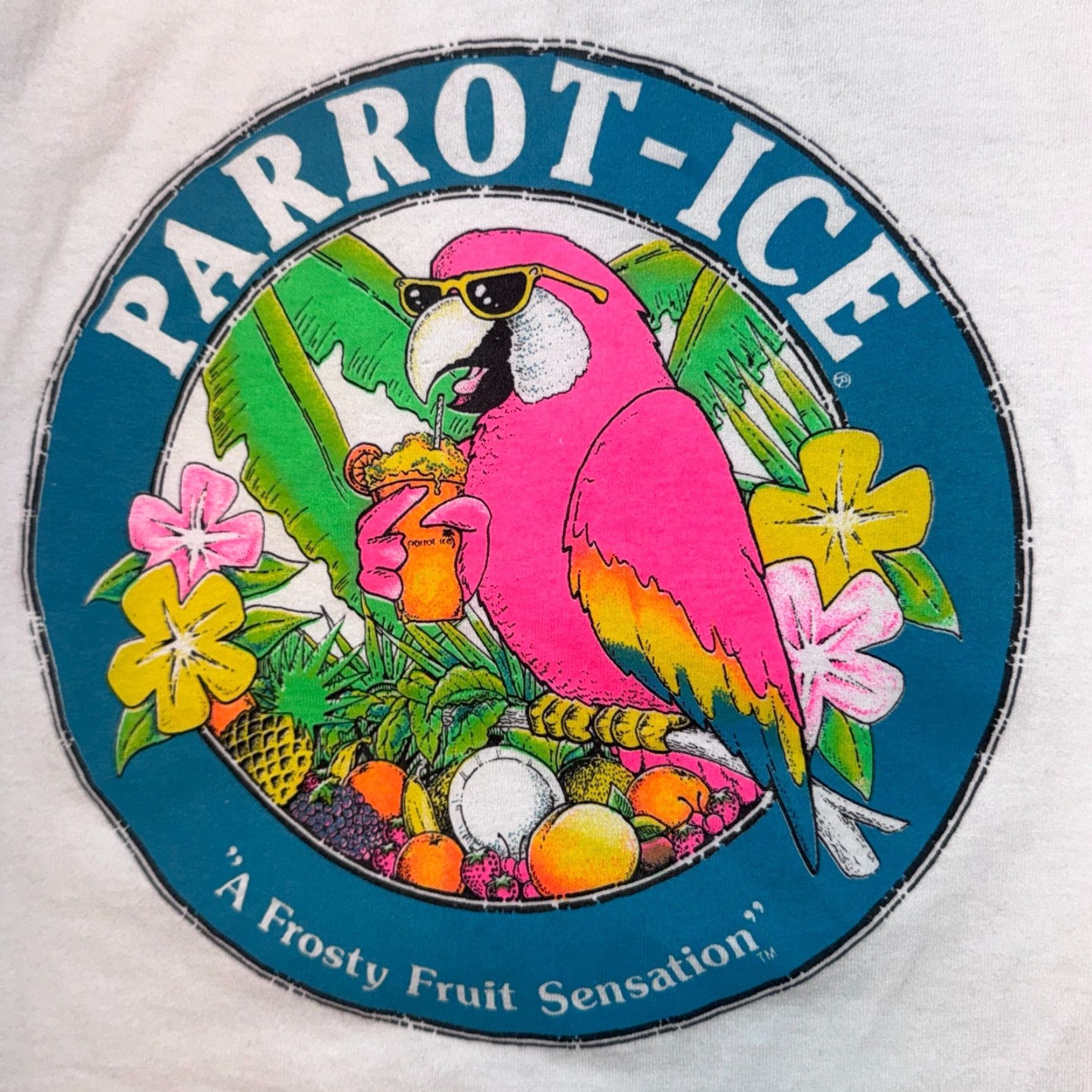 Hanes VINTAGE Hanes T-Shirt Shirt XL White 90s Logo Graphic Parrot Ice A Frosty Fruit Sensation Retro Neon Crew Neck Short Sleeve Men Size US XL / EU 56 / 4 - 2 Thumbnail