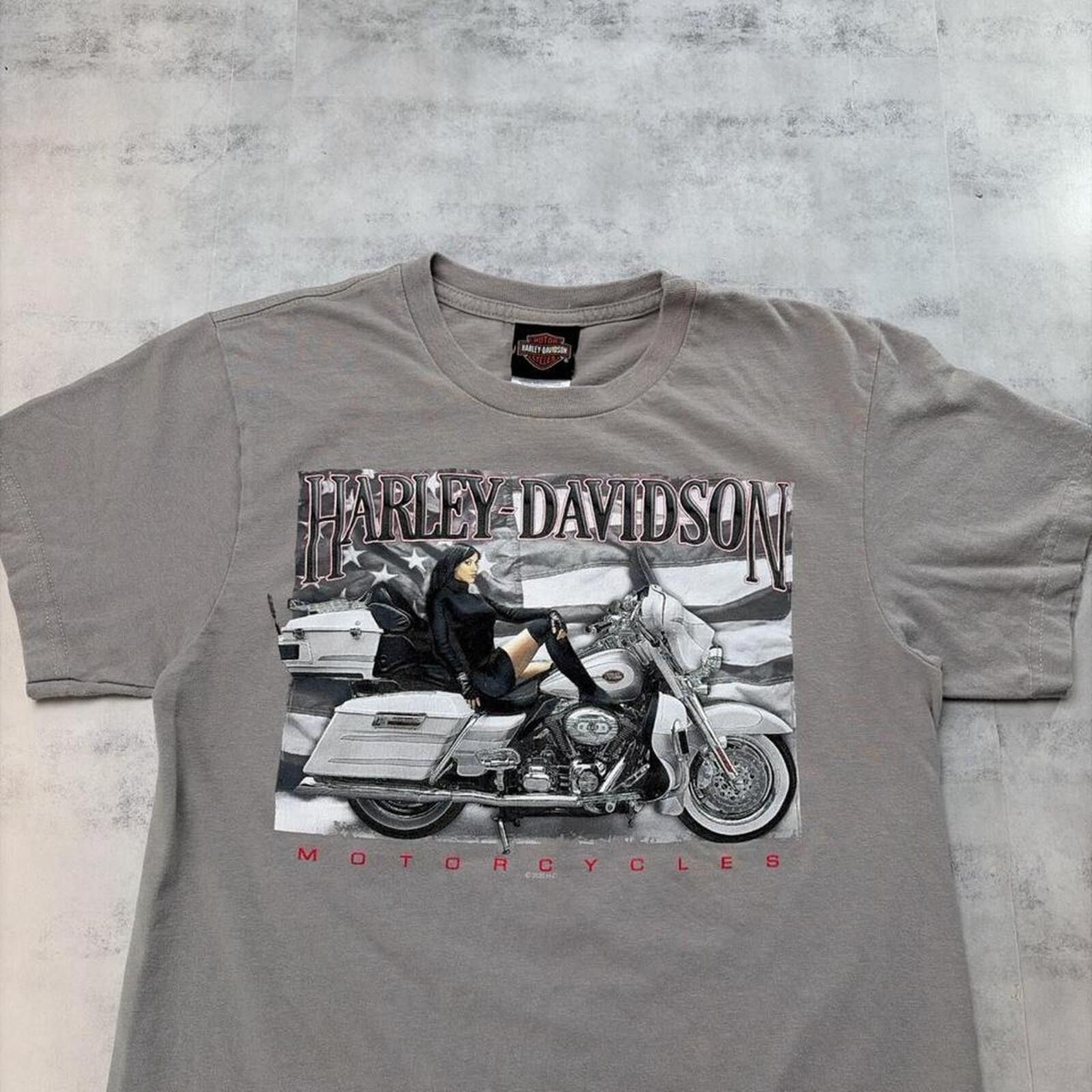 Harley Davidson Y2K Grey Harley Davidson Grunge Rocky Mountain Biker T-Shirt Size US S / EU 44-46 / 1 - 3 Thumbnail