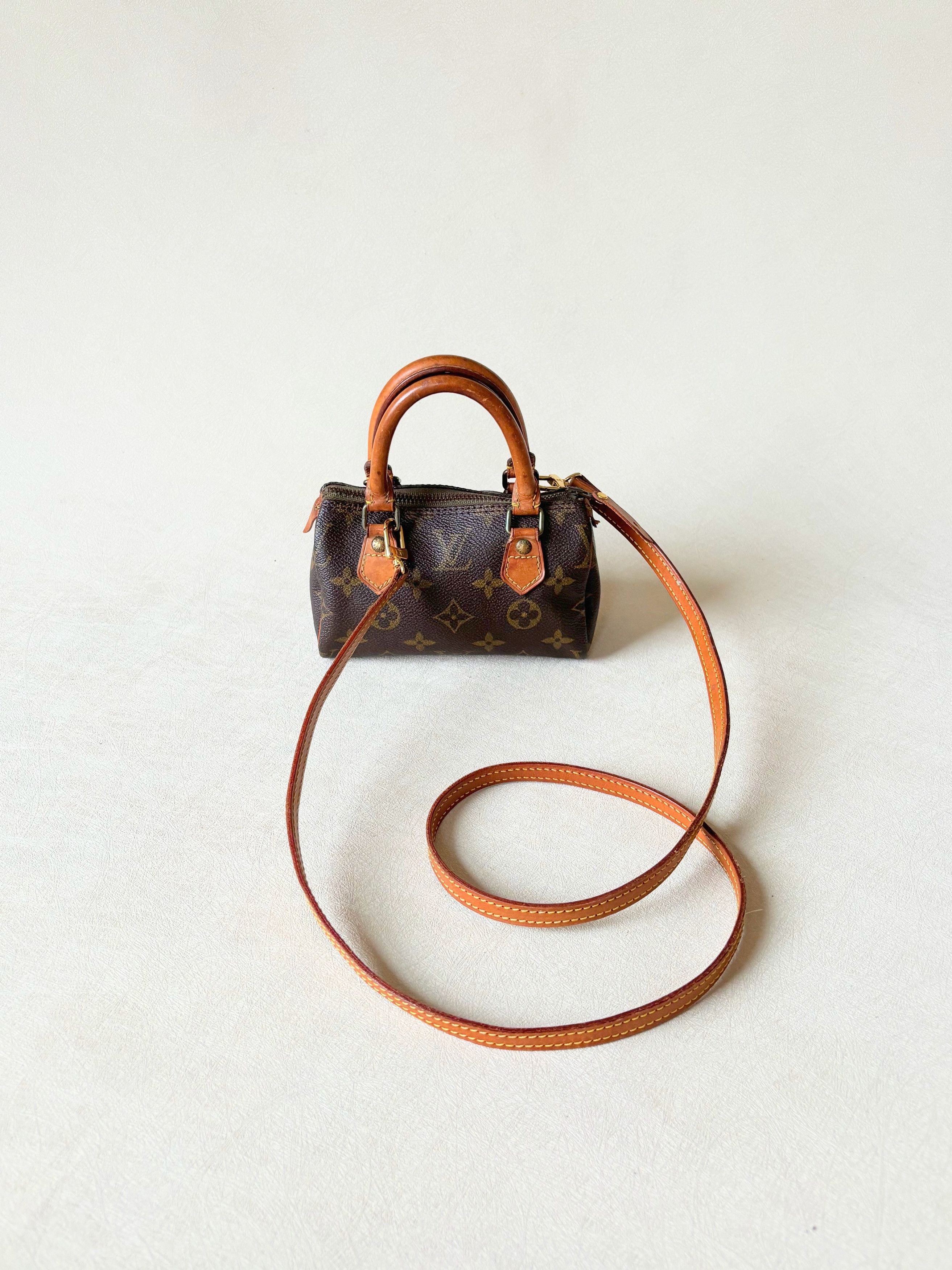 Louis Vuitton x Takashi Murakami Nano Speedy