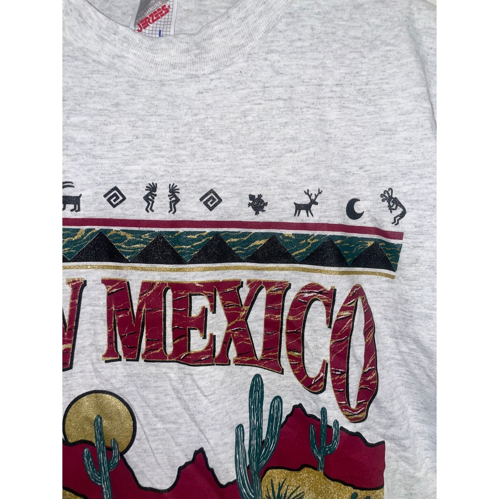 Jerzees 90s NM New Mexico Santa Fe Cactus Desert Shirt 1990s Large Size US L / EU 52-54 / 3 - 3 Thumbnail