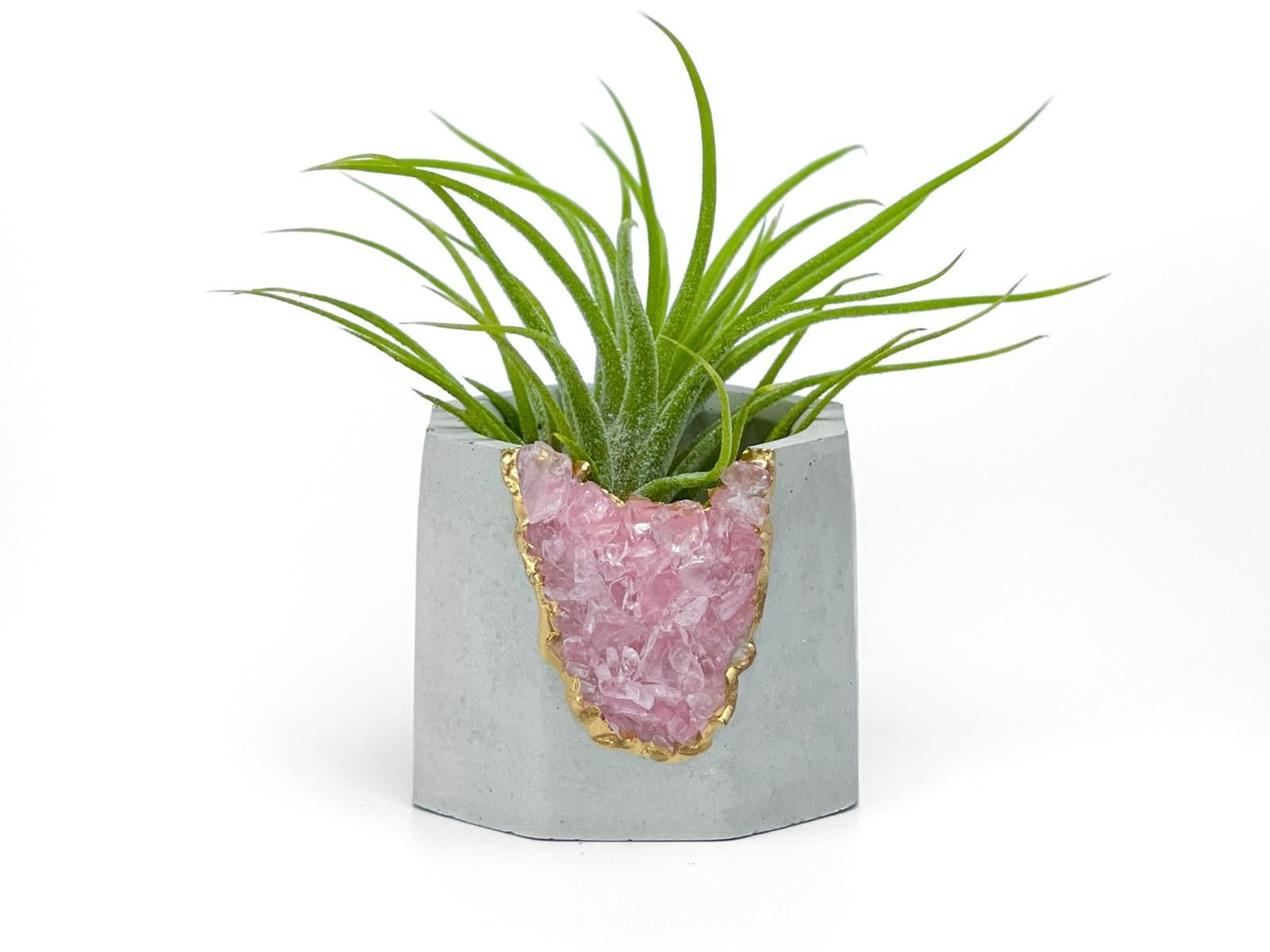 Other Rose Quartz Crystal Planter Concrete Geode Air Plant Holder Size ONE SIZE - 4 Thumbnail