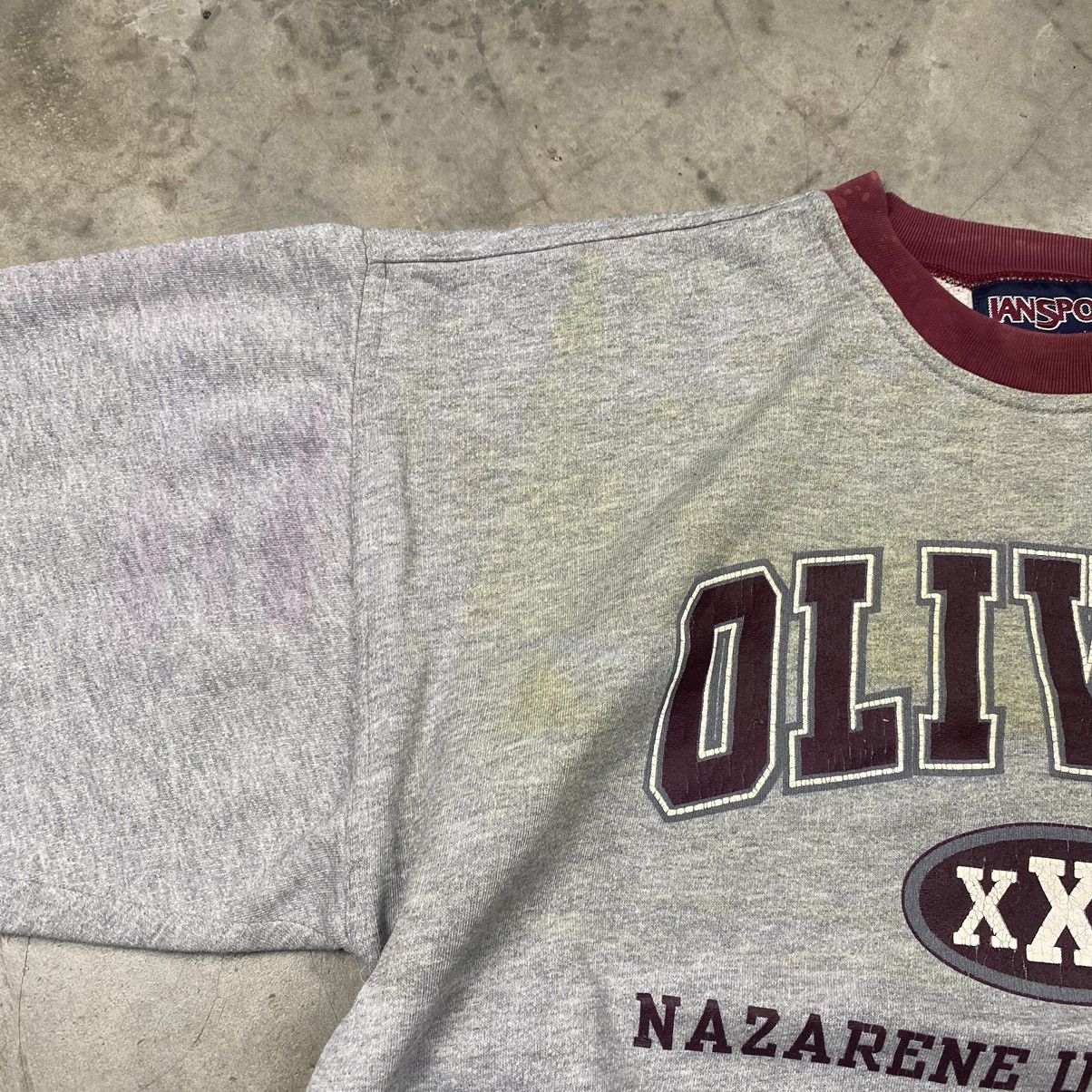 Jansport y2k Olivet Nazarene University Boxy Crewneck Size US L / EU 52-54 / 3 - 5 Thumbnail