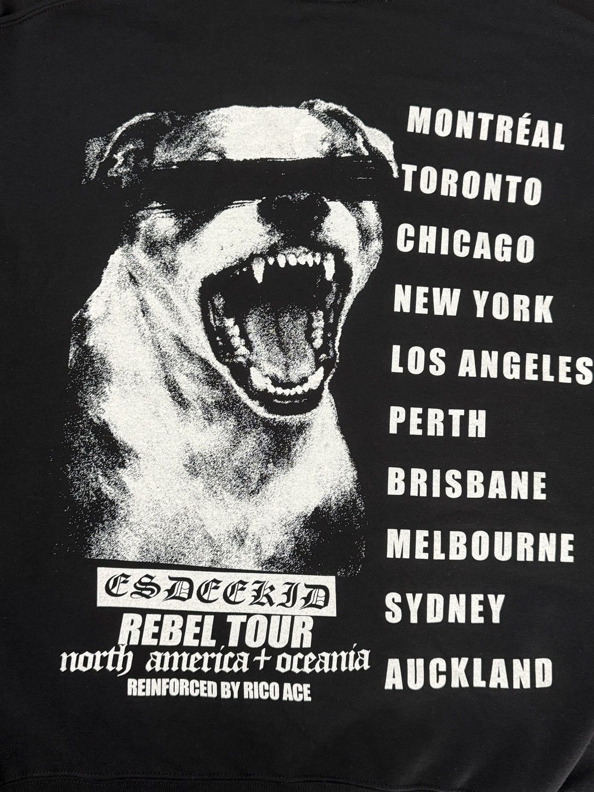Yeat EsDeeKid Rebel Tour Hoodie Size US M / EU 48-50 / 2 - 3 Thumbnail