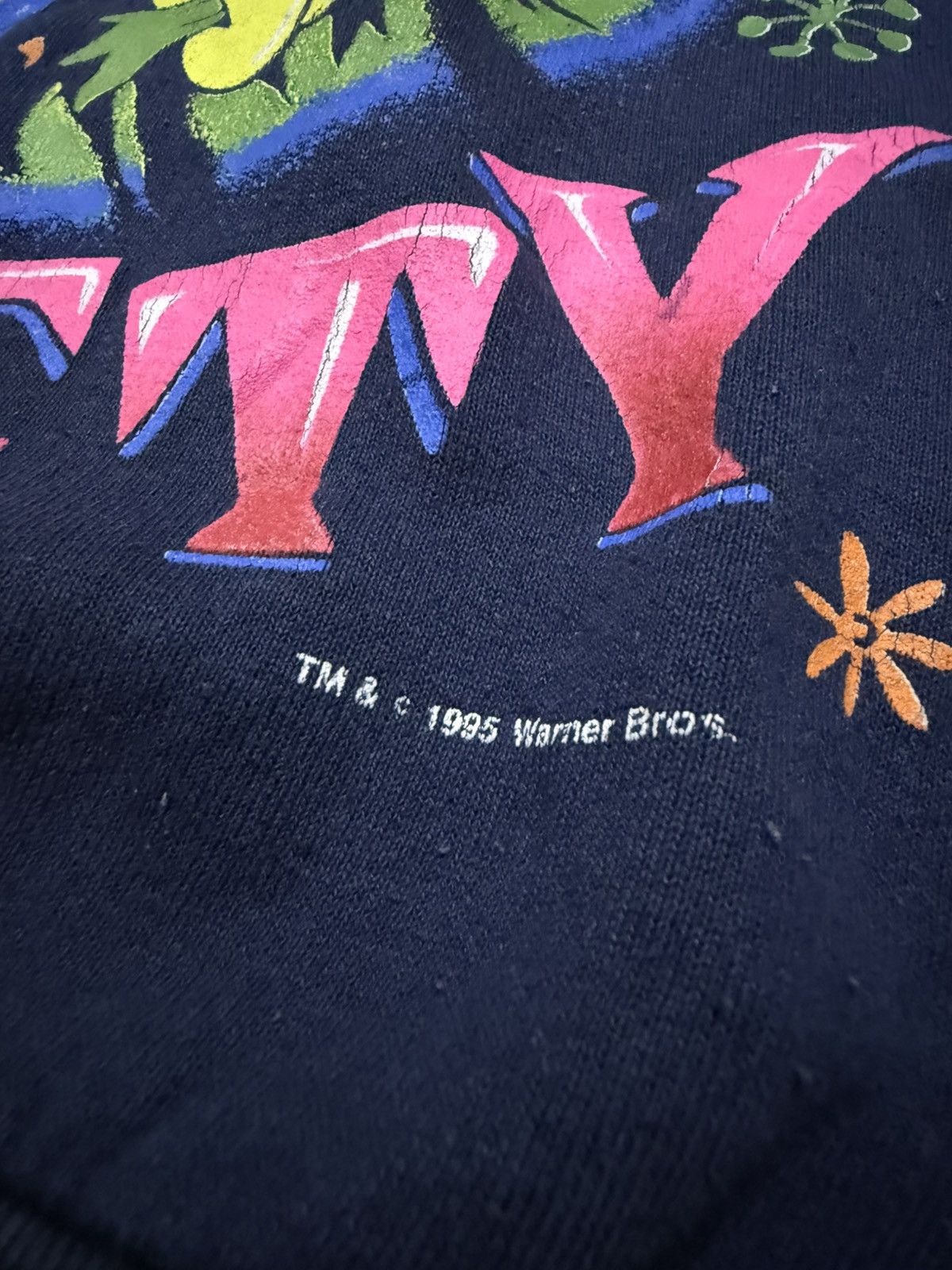 Warner Bros Vintage 90’ Taz Mania Dallas Cowboy Tweety Sweashirt Size US S / EU 44-46 / 1 - 5 Thumbnail