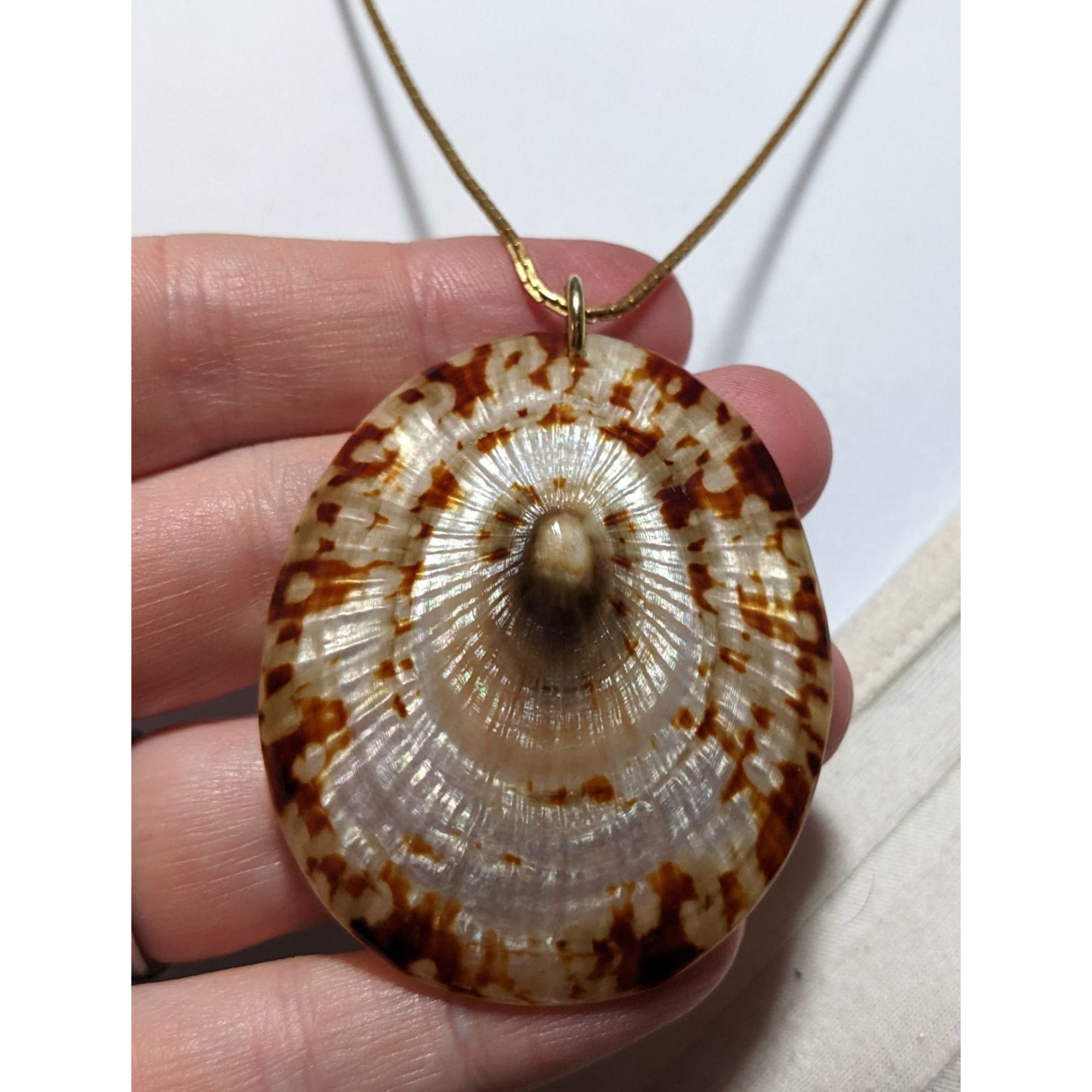 Other Limpet Shell Pendant Necklace Size ONE SIZE - 5 Thumbnail