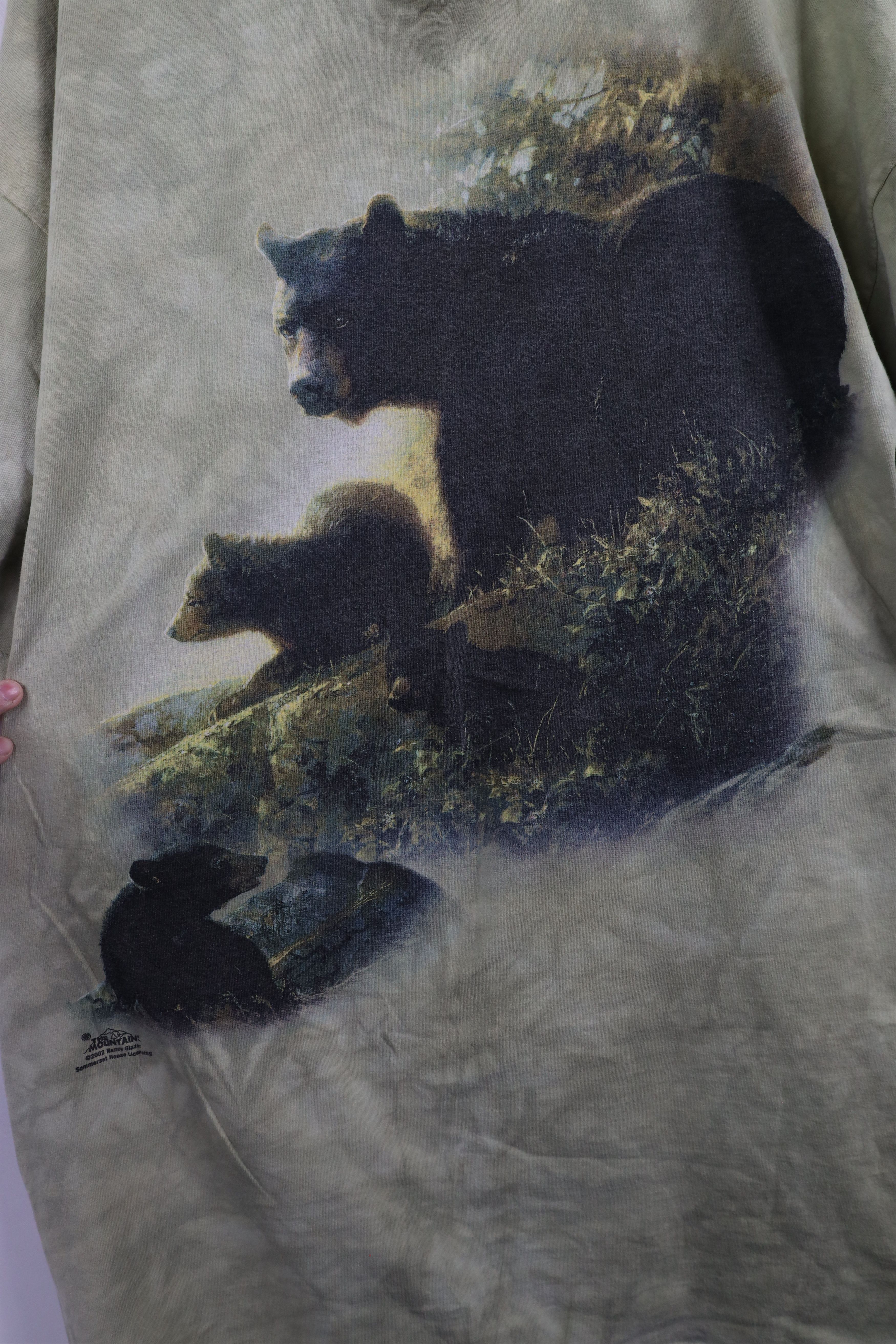 Vintage Vintage Y2K 2002 Streetwear Nature Bear Acid Wash T-Shirt Size US XXL / EU 58 / 5 - 4 Thumbnail