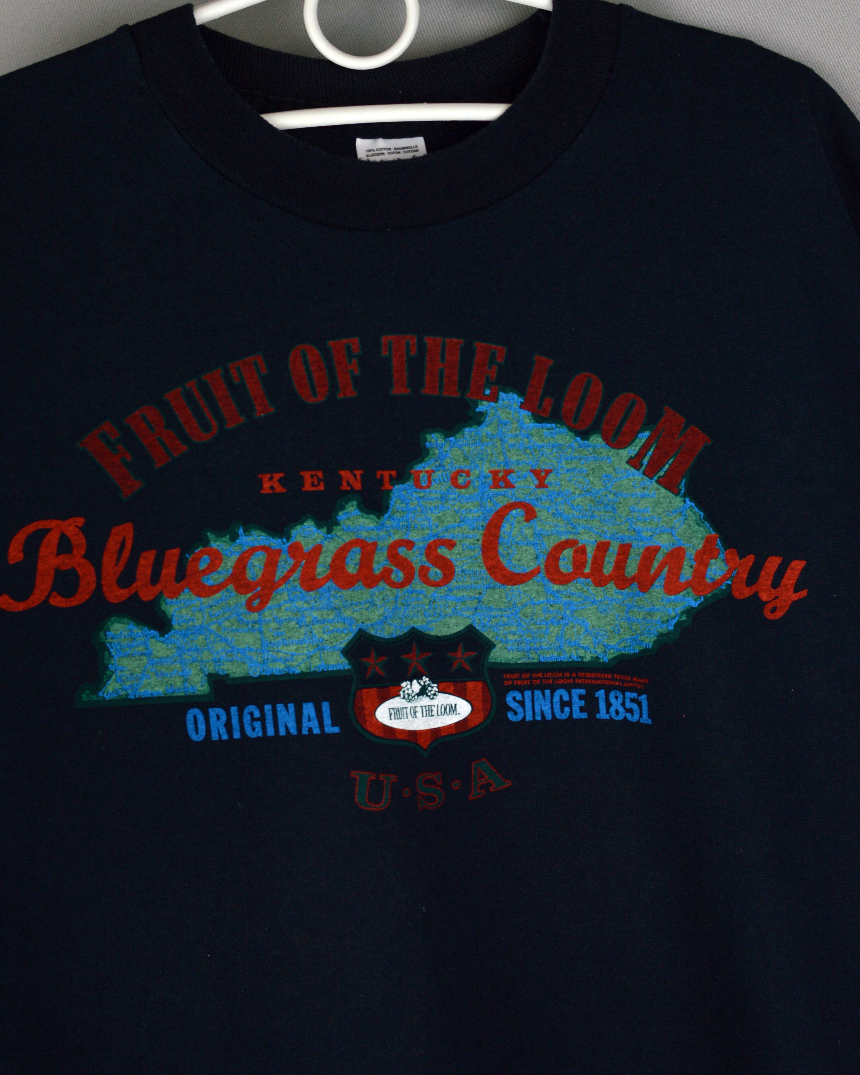 Fruit Of The Loom × Vintage Vintage Fruit Of The Loom Bluegrass Country 90s t shirt Size US XL / EU 56 / 4 - 2 Thumbnail