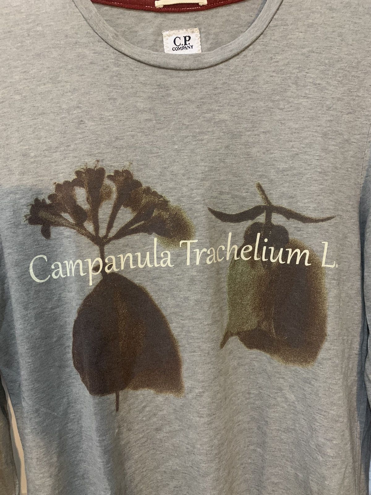 C.P. Company × Vintage Vintage CP Company long Sleeve Campanula Trachelium L Size US S / EU 44-46 / 1 - 5 Thumbnail