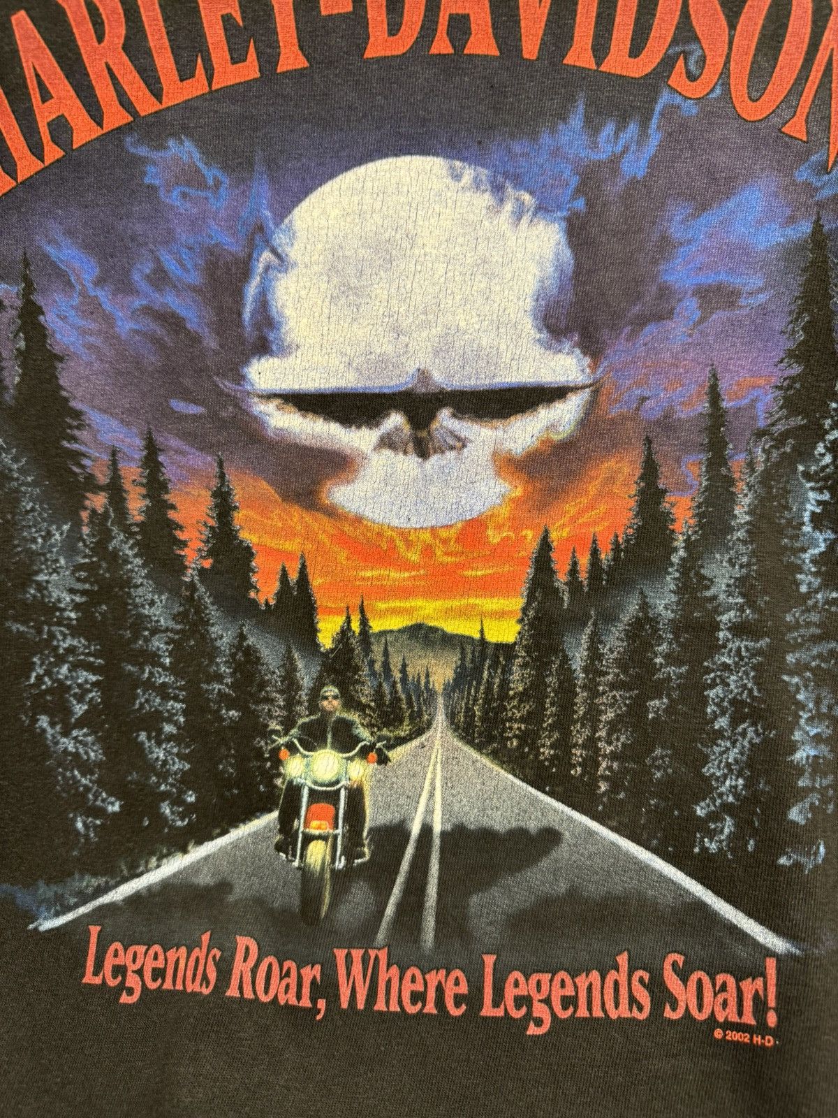 Harley Davidson Harley Davidson made in usa vintage t-shirt 2002 L Legends Size US L / EU 52-54 / 3 - 6 Thumbnail