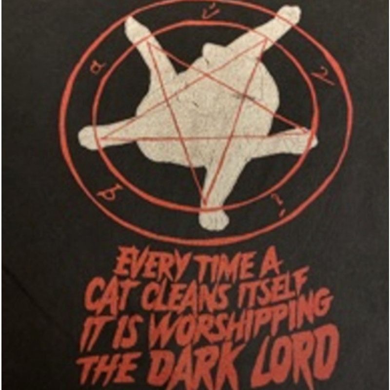 Gildan Goth Grunge Metal Graphic Tee Pentagram Dark Lord Quote 2XL Size US XXL / EU 58 / 5 - 3 Thumbnail