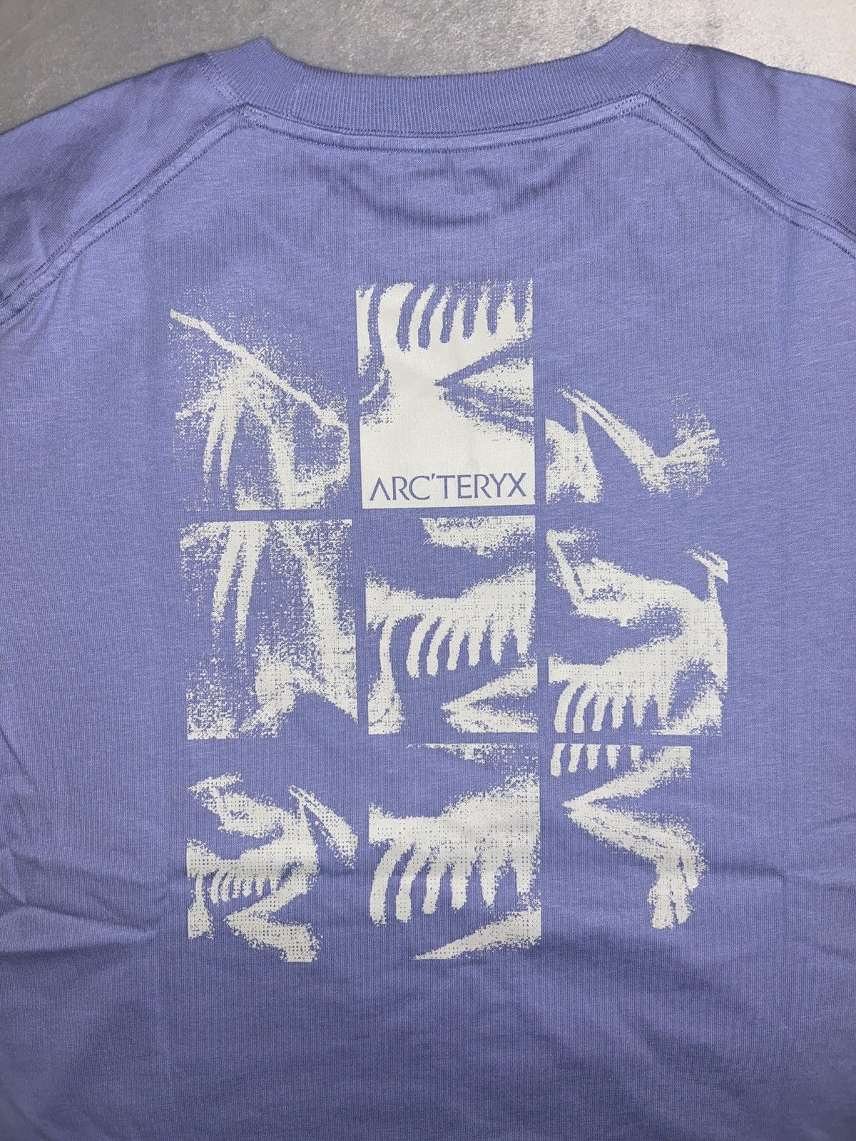 Arc'teryx Arcteryx Lilac Cotton Tee Shirt Size L / US 10 / IT 46 - 5 Thumbnail