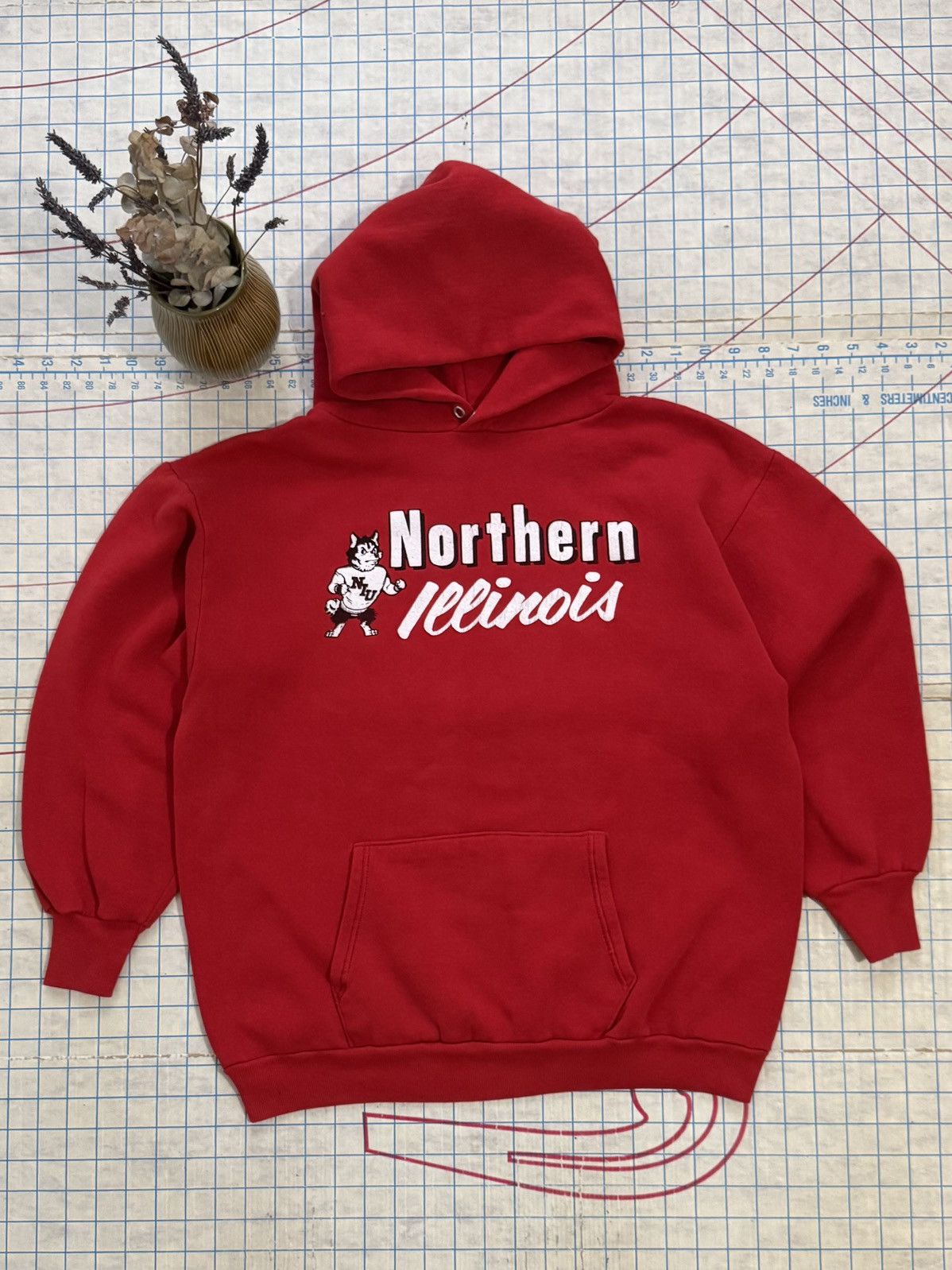 Vintage Vintage Northern Illinois University Hoodie Red Fits Medium Size US L / EU 52-54 / 3 - 1 Thumbnail