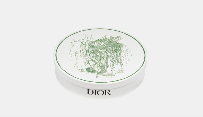 o1bcso1str0324 4 Set Dinner Plates in Multicolor