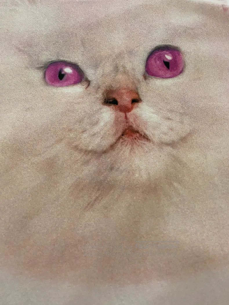 Acne Studios Acne Studios Cat print light pink T-shirt Size US XS / EU 42 / 0 - 2 Thumbnail