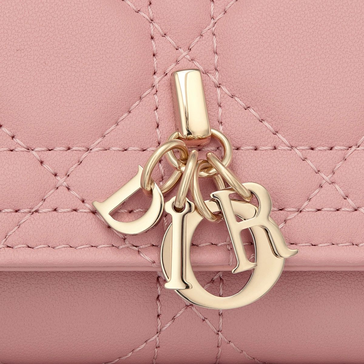 Dior o1bcso1str0226 Size:OS/ Aster Key Case in Pink Size ONE SIZE - 5 Thumbnail