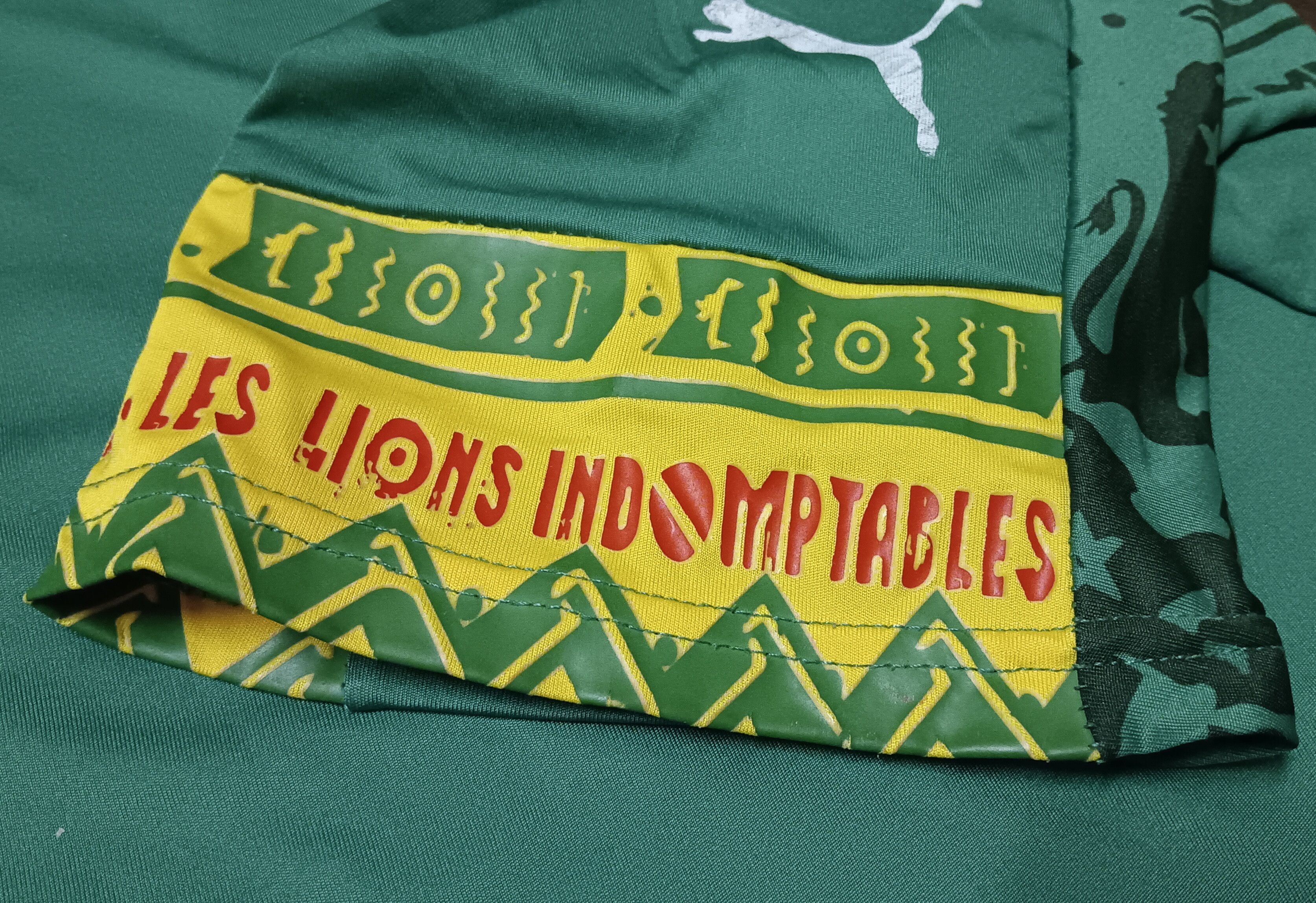 Puma 2014-2015 | Cameroon | Home Jersey Size US XL / EU 56 / 4 - 7 Thumbnail
