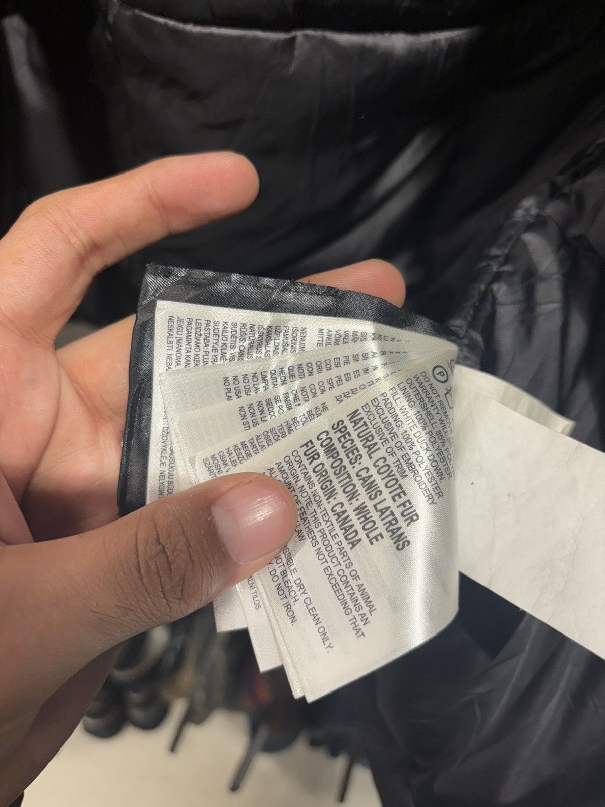 Canada Goose Canada goose parka black lable Size US L / EU 52-54 / 3 - 12 Thumbnail
