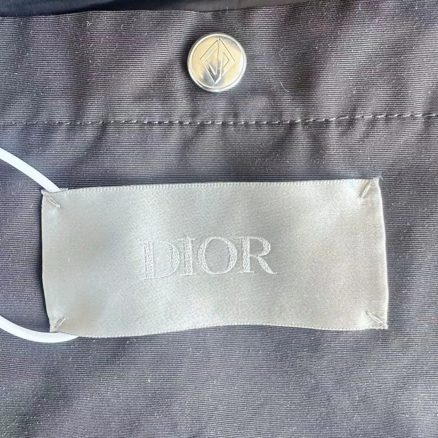 Dior Dior x Peter Doig 24 New Ski Down Jacket. Size US L / EU 52-54 / 3 - 3 Thumbnail