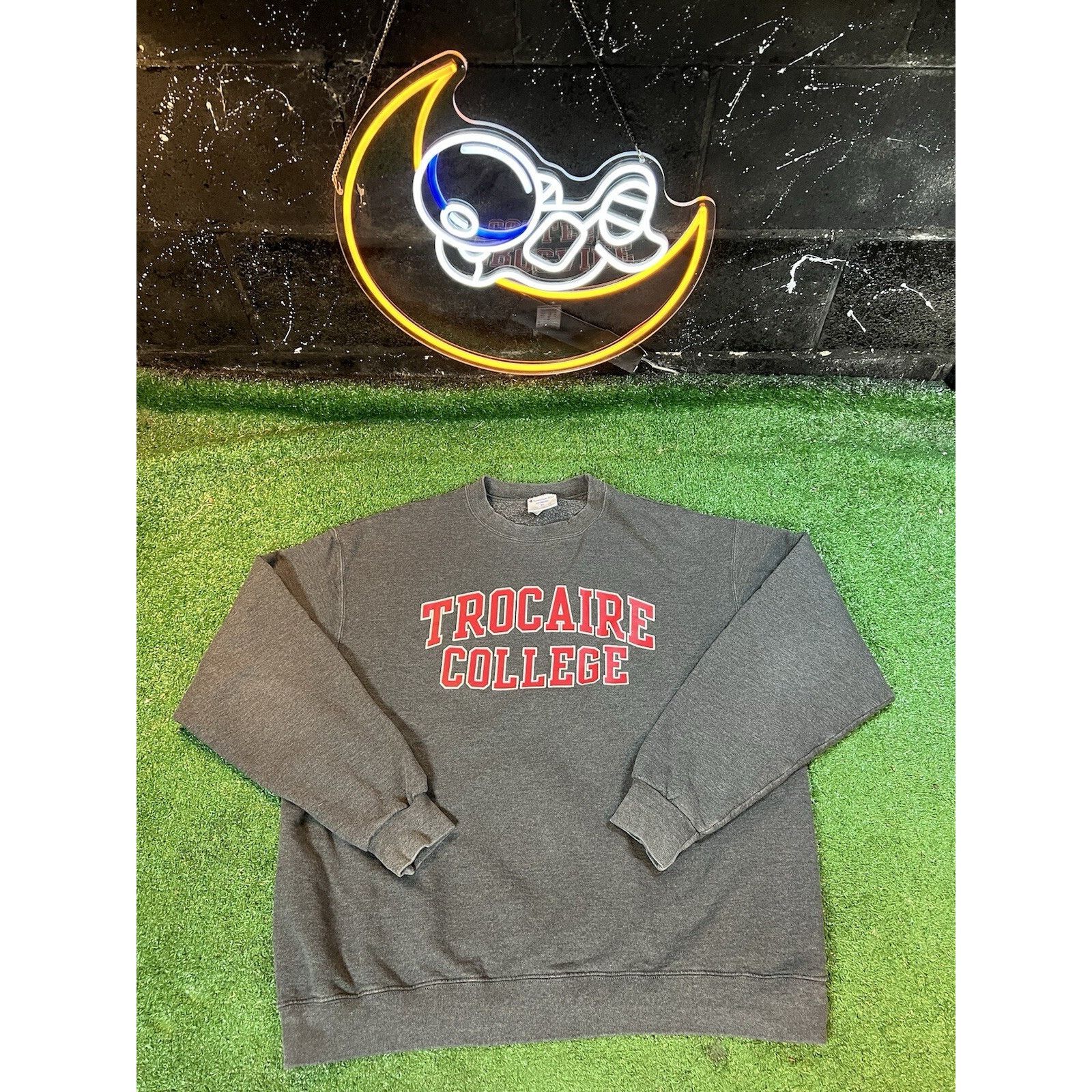Champion Champion Trocaire College Gray Pullover Sweatshirt Men’s XL Size US XL / EU 56 / 4 - 1 Thumbnail