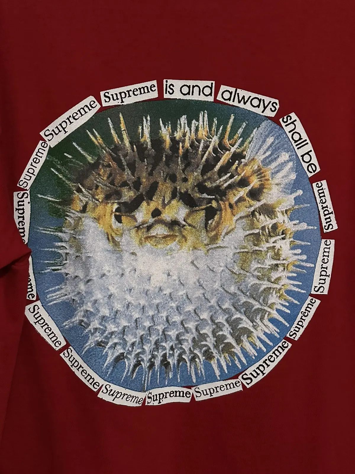 Supreme Supreme Blowfish Tee Size US M / EU 48-50 / 2 - 2 Thumbnail