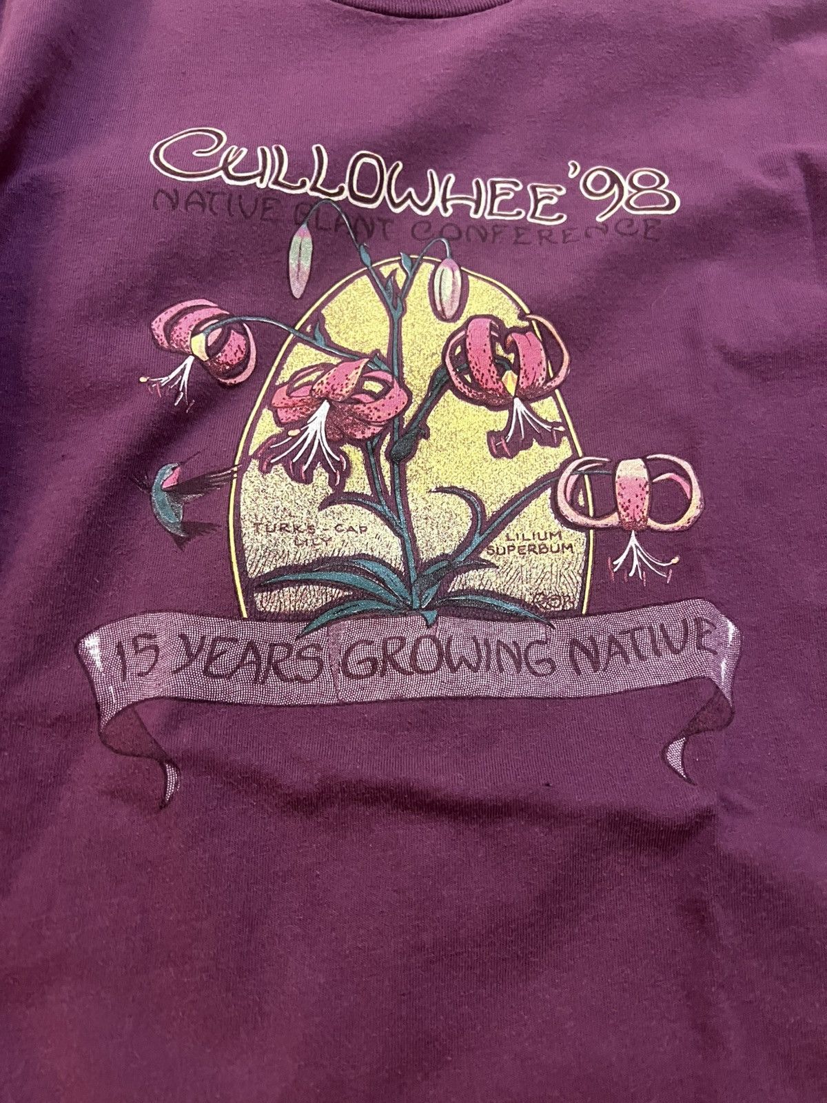Hanes × Vintage Lot of 2 / 1998 Native Plant Conference Tees Size US XL / EU 56 / 4 - 2 Thumbnail