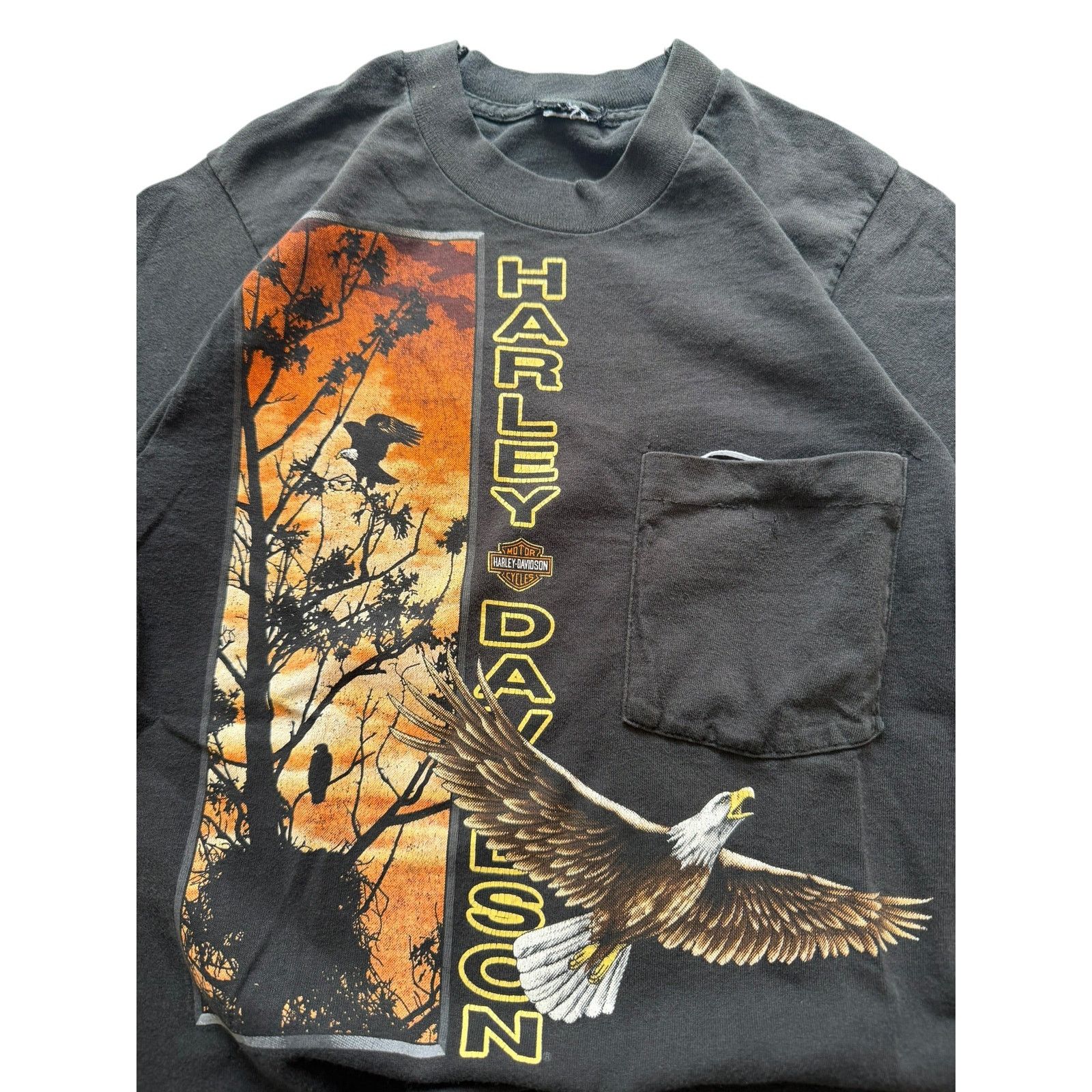 Vintage Vintage HD Zion Eagle Desert Sunset Pocket Tee Size US S / EU 44-46 / 1 - 3 Thumbnail