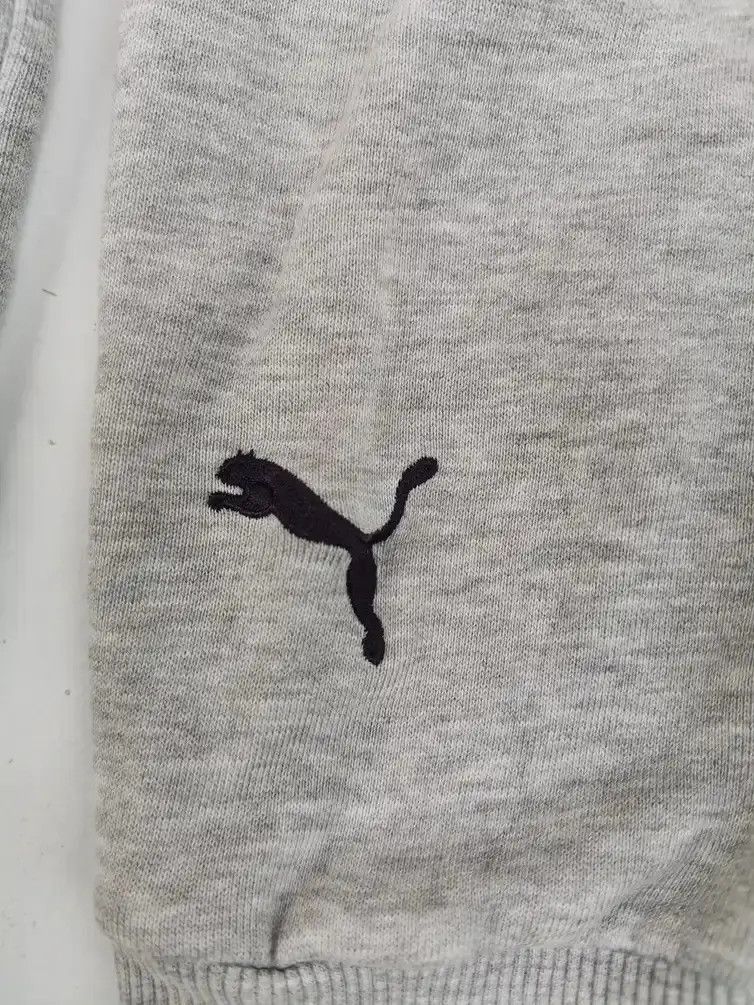 Puma Puma Big Logo Hoodie Sweatshirt Size US L / EU 52-54 / 3 - 6 Thumbnail