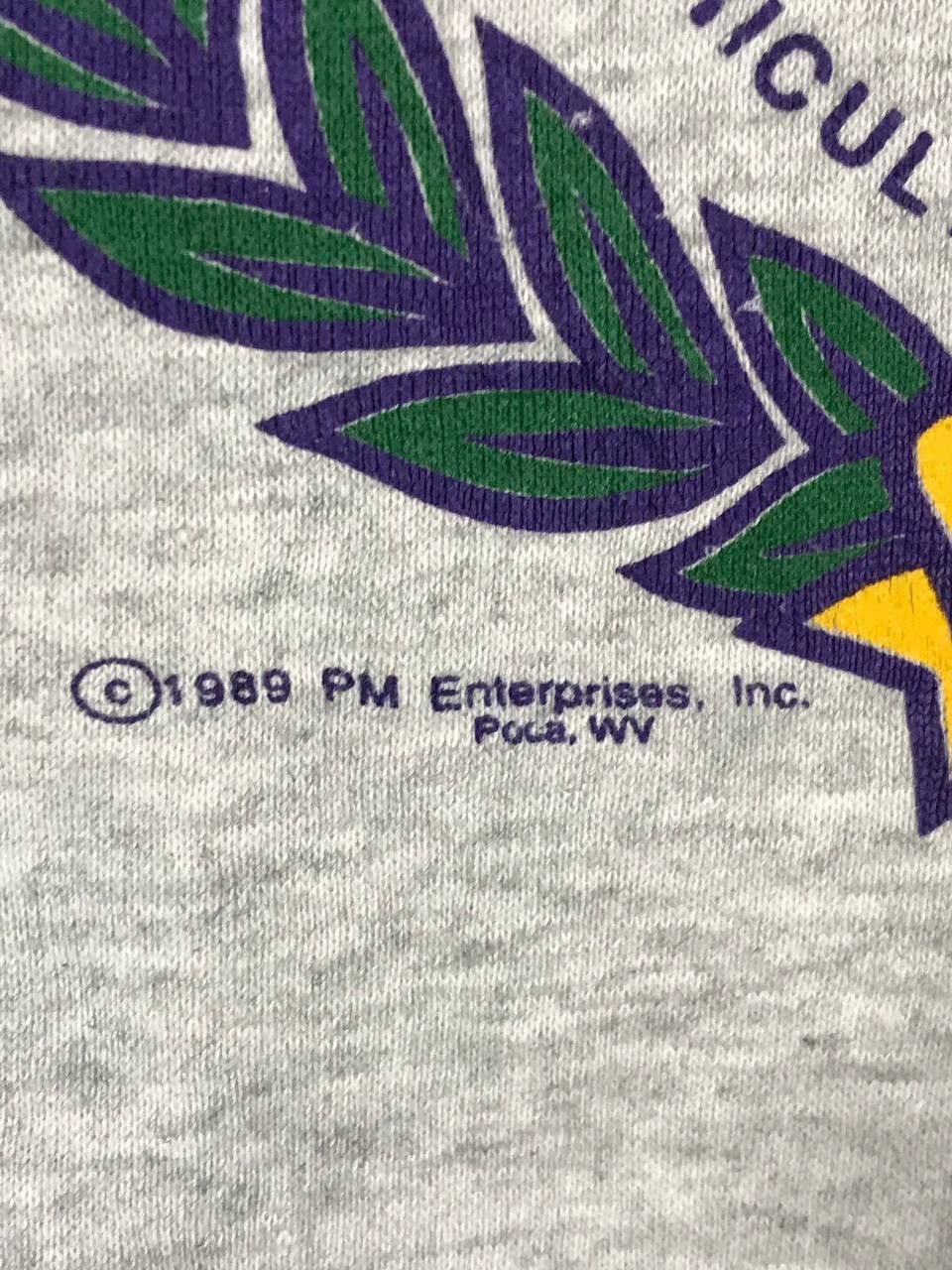 Vintage Vintage 1989 LSU Louisiana State University tigers football Size US L / EU 52-54 / 3 - 4 Thumbnail