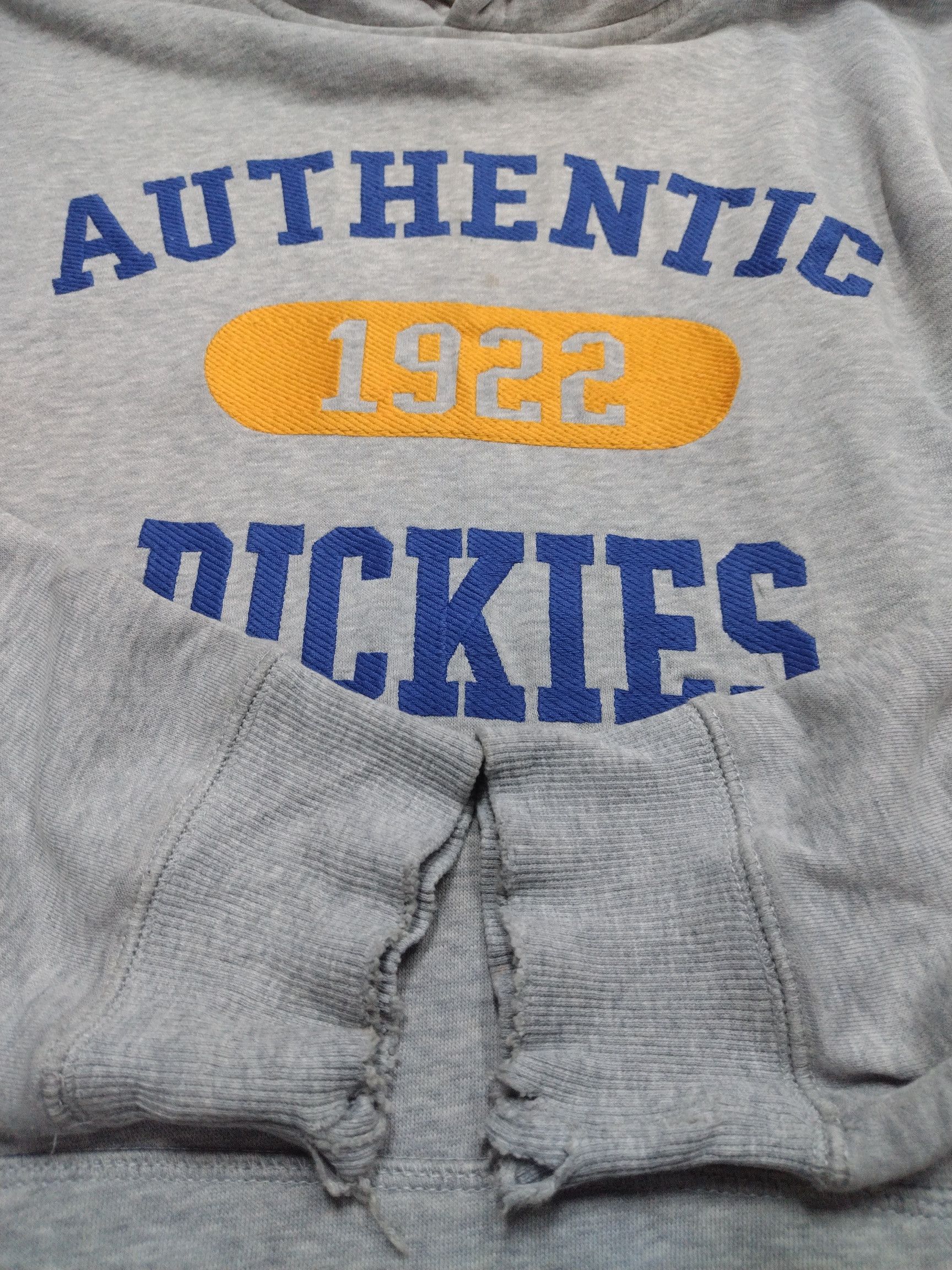 Dickies Awesome Dickies vtg y2k big logo multi col Hoodie Size US XL / EU 56 / 4 - 6 Thumbnail