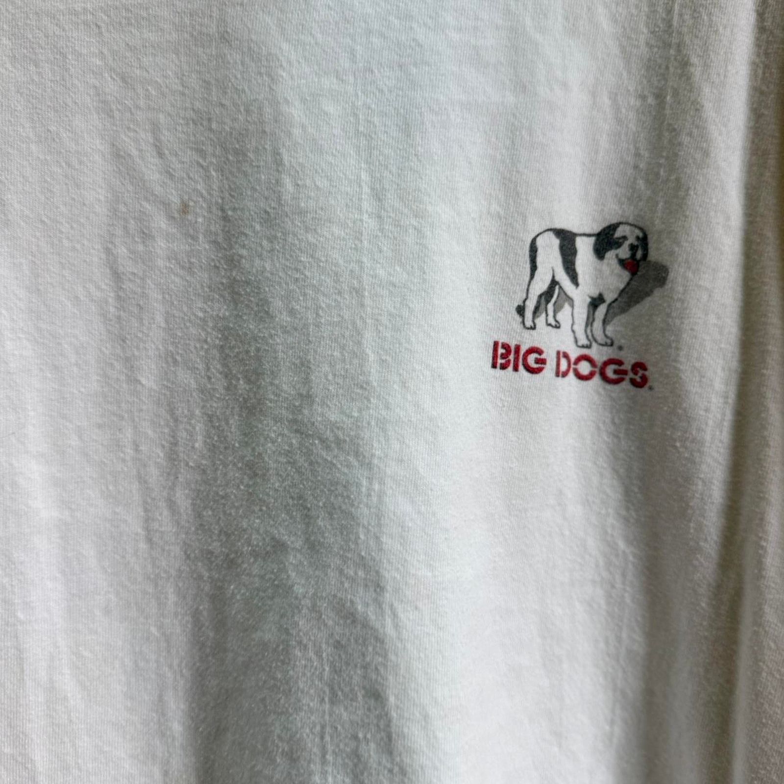 Big Dogs × Vintage Vintage 90s Big Dogs Lessons I Learned Animal T-Shirt Size US L / EU 52-54 / 3 - 3 Thumbnail