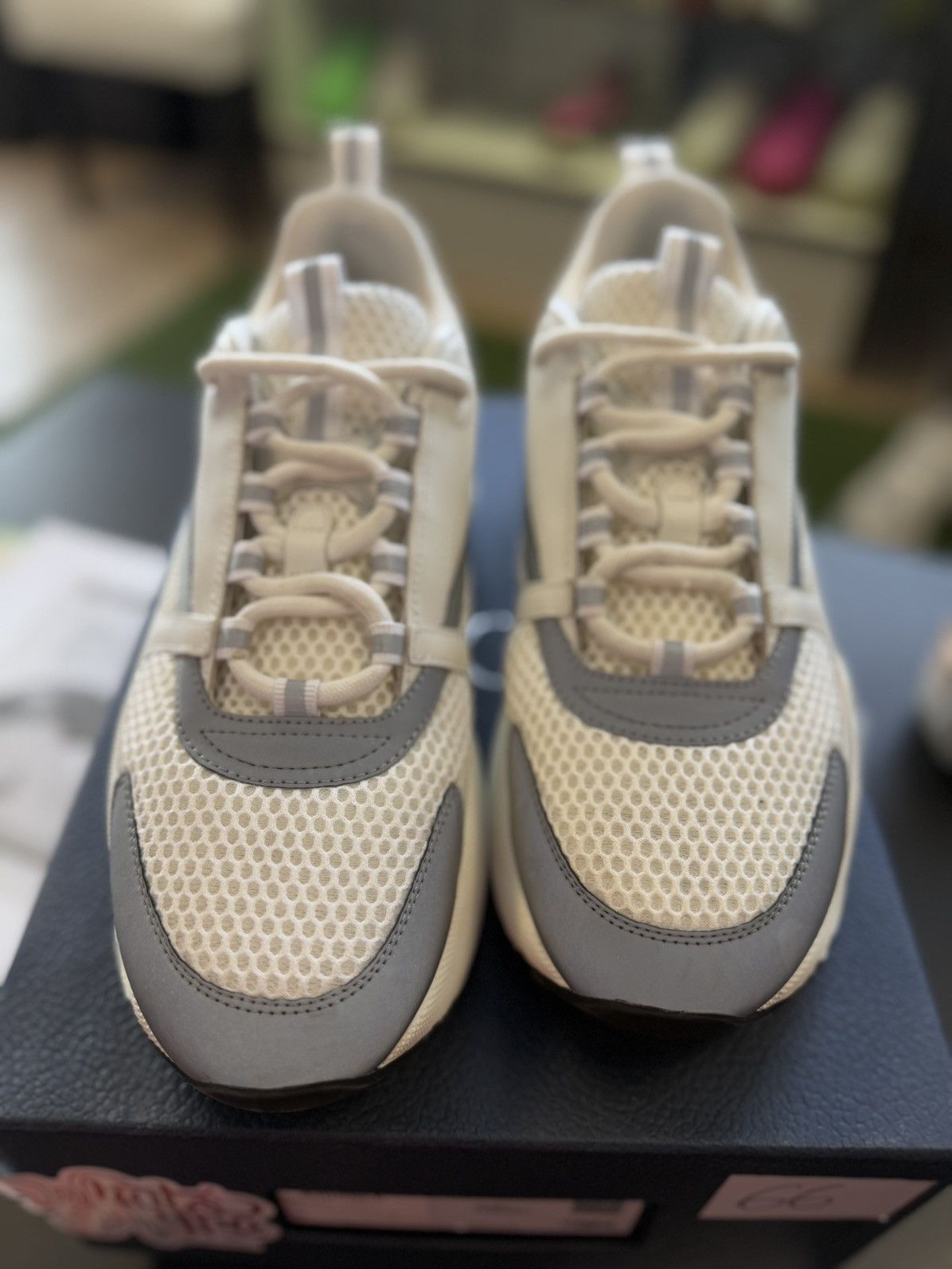 Dior Dior B22 White Low Top Sneakers Size 43EU/10US Size US 10 / EU 43 - 9 Thumbnail