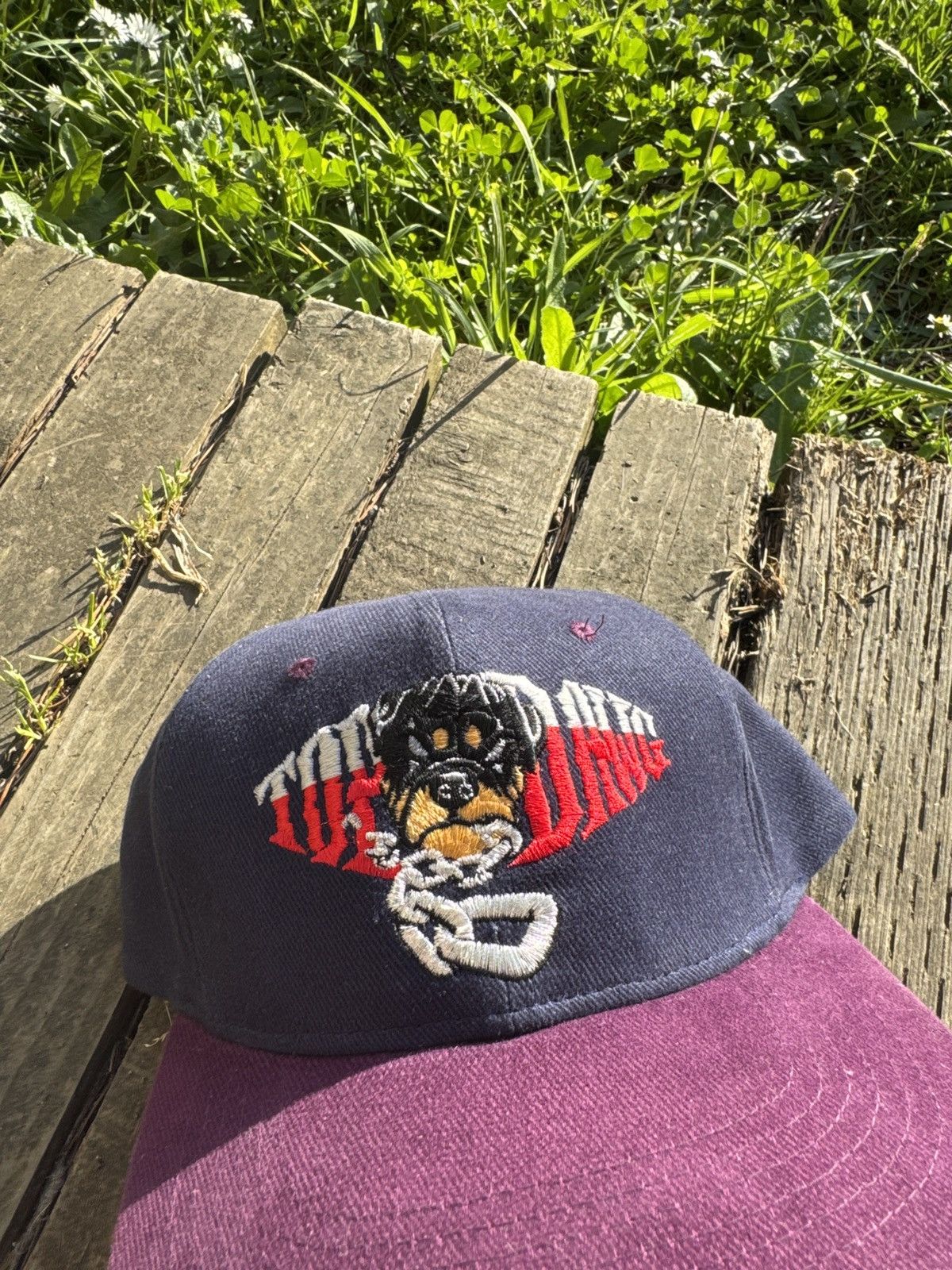Top Dawg Entertainment Top dawg hat Size ONE SIZE - 2 Thumbnail