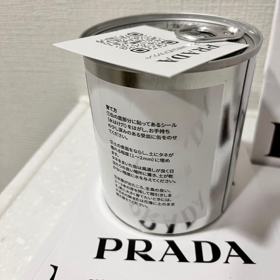 Prada PRADA Novelty Mini Sunflower Seeds in a Tin Size ONE SIZE - 3 Thumbnail