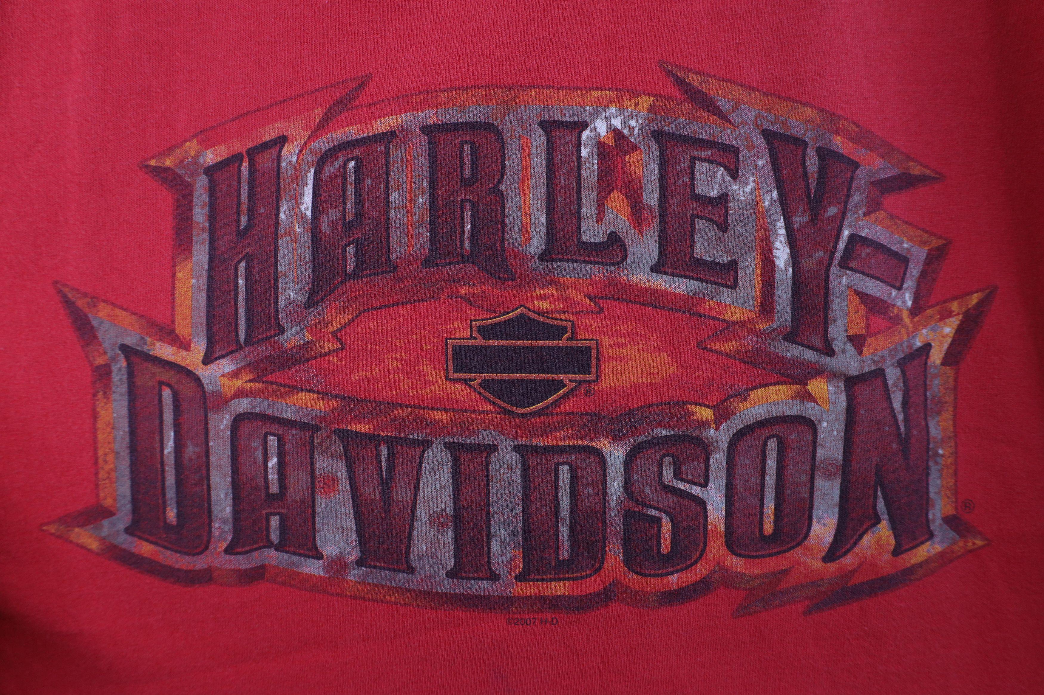 Harley Davidson Vintage Y2K Harley Davidson Fire Flames Hog Tribal T-Shirt Size US L / EU 52-54 / 3 - 7 Thumbnail