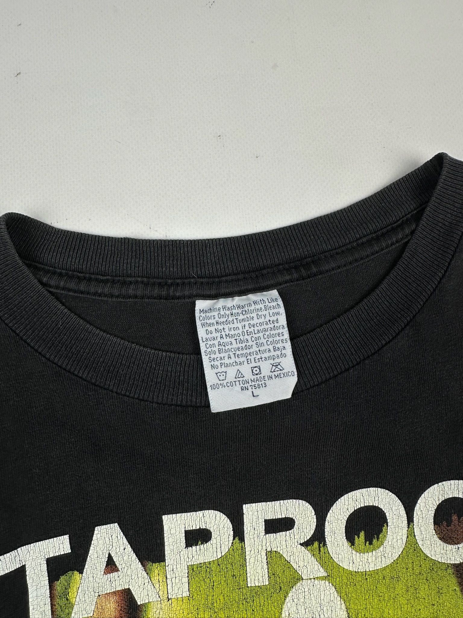 Band Tees Rare Vintage Taproot rock band / tour shirt Size US L / EU 52-54 / 3 - 2 Thumbnail