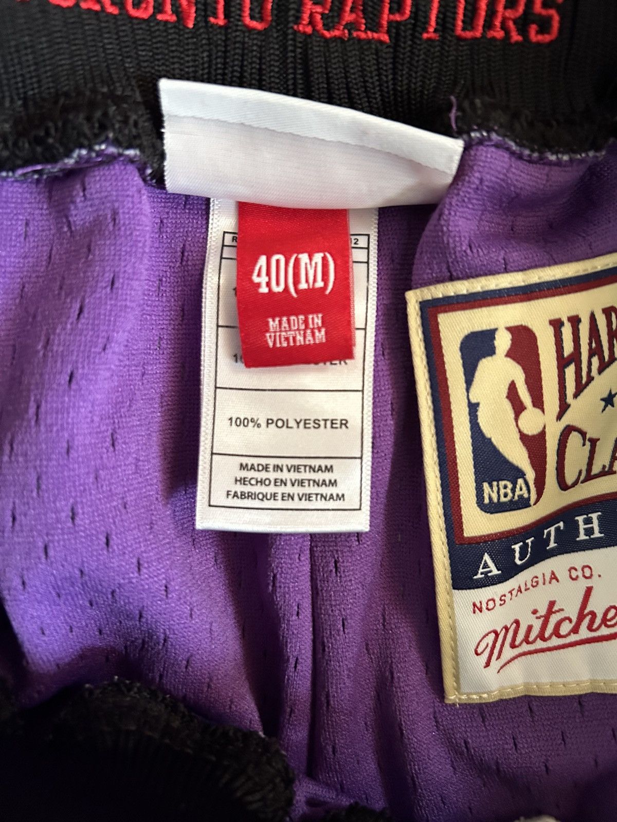 Mitchell & Ness Authentic Mitchell&ness 98-99 Toronto raptors shorts Size US 40 / EU 56 - 4 Thumbnail