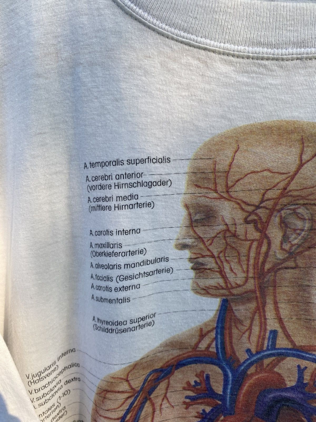 Nirvana Vintage rare 1989 Human anatomy Tee Size US XL / EU 56 / 4 - 4 Thumbnail