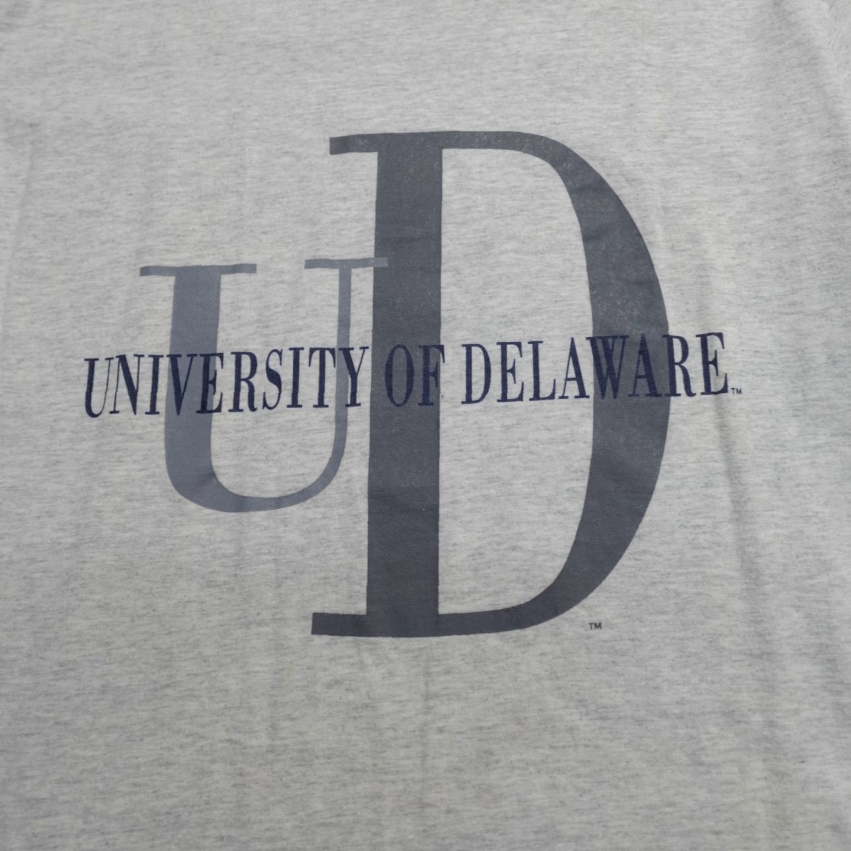 Vintage VINTAGE University of Delaware Shirt Large Gray Jansport Made in USA Men L Gray 1990s Crew Neck Short Sleeve Jersey T-Shirt Size US L / EU 52-54 / 3 - 2 Thumbnail