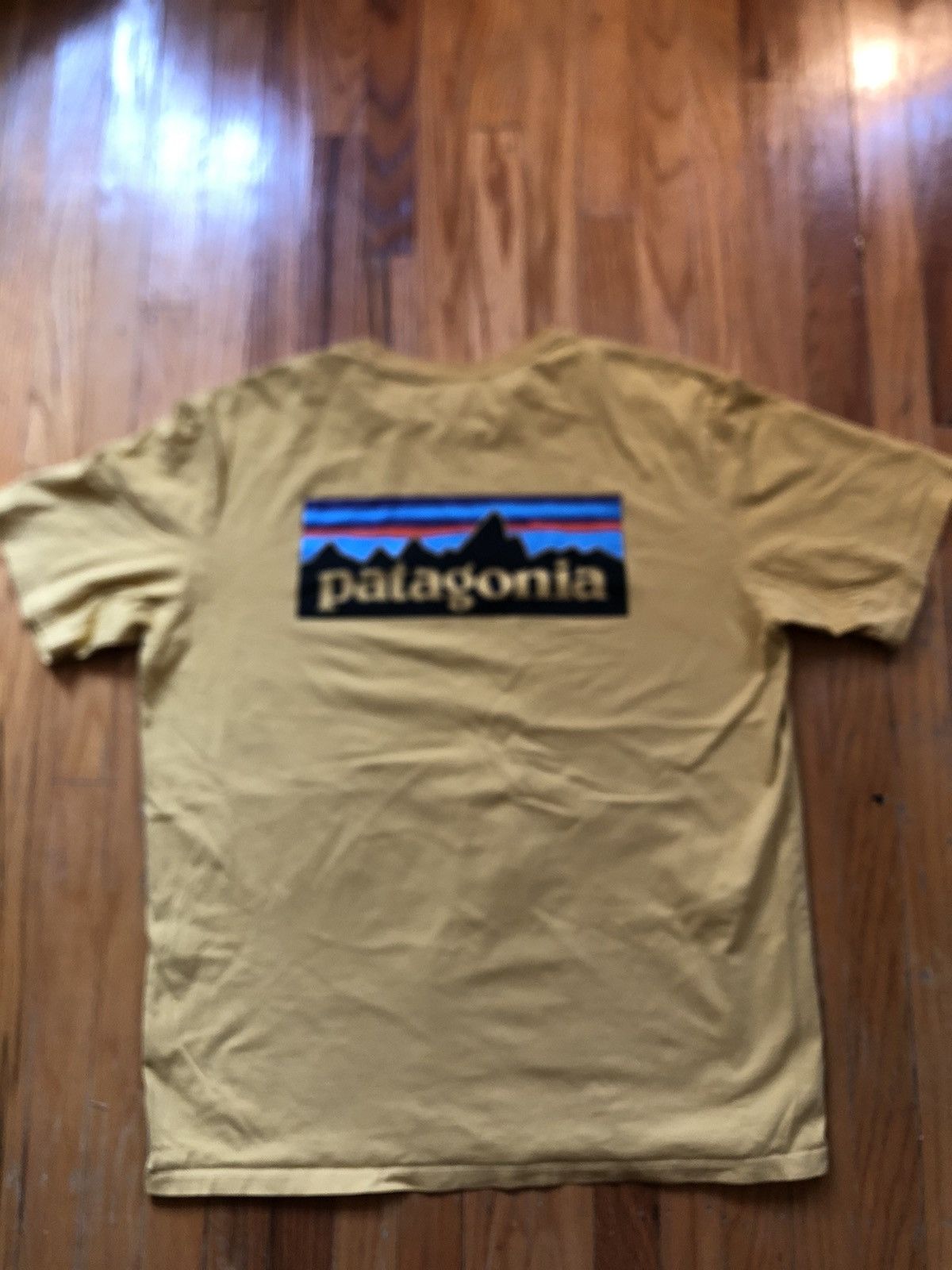 Patagonia Patagonia T shirt Size US L / EU 52-54 / 3 - 1 Thumbnail
