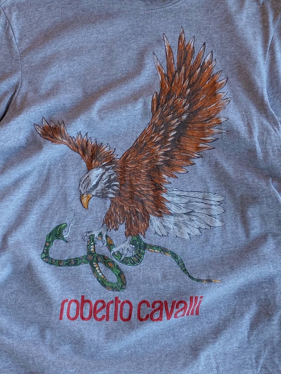 Roberto Cavalli Roberto Cavalli T-Shirt Grey Eagle Graphic Y2K Size M / US 6-8 / IT 42-44 - 4 Thumbnail