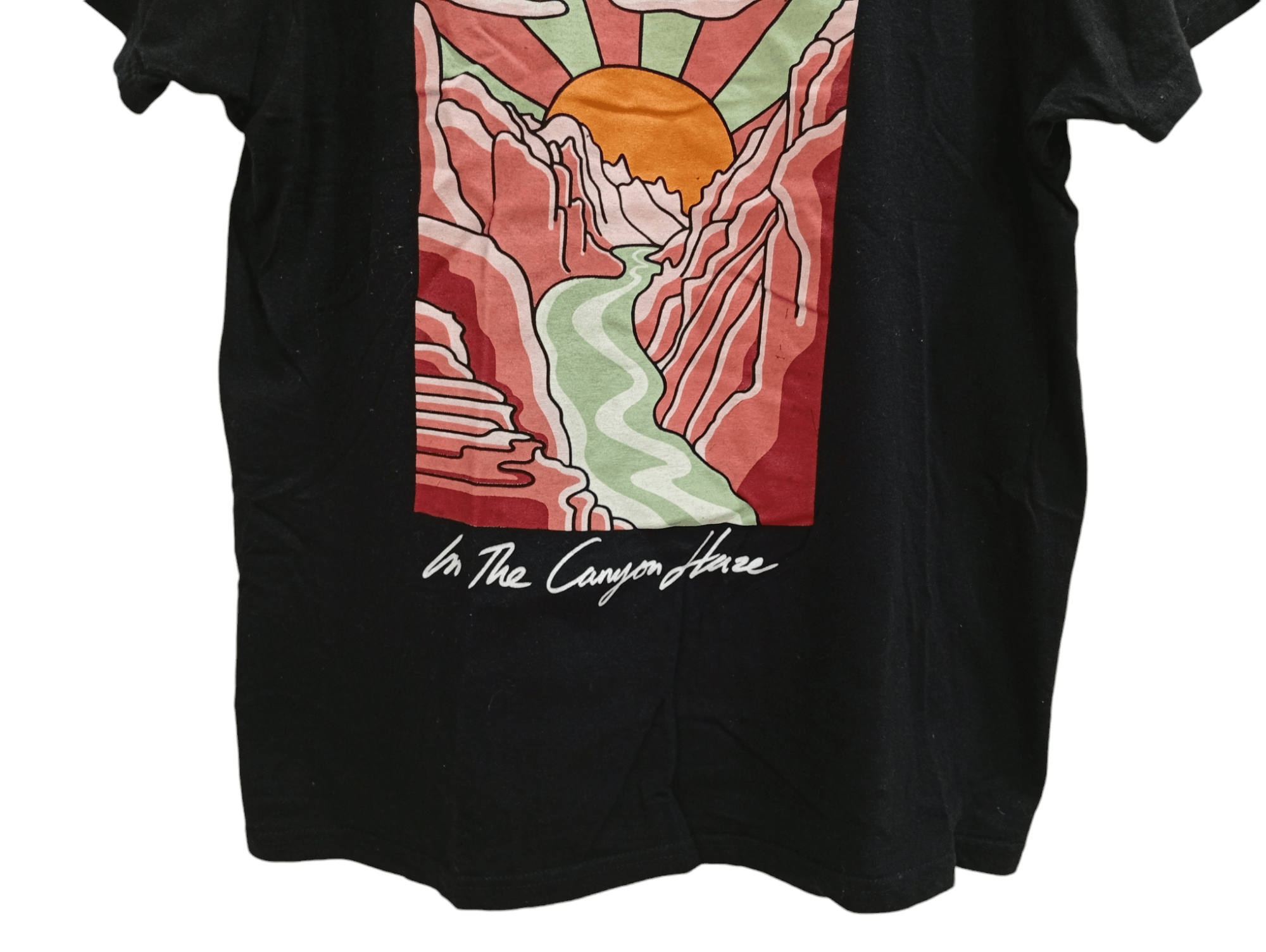 Band Tees × Vintage 🔥🔥Brandi Carlile In the Canyon Haze T-Shirt Size US M / EU 48-50 / 2 - 14 Thumbnail