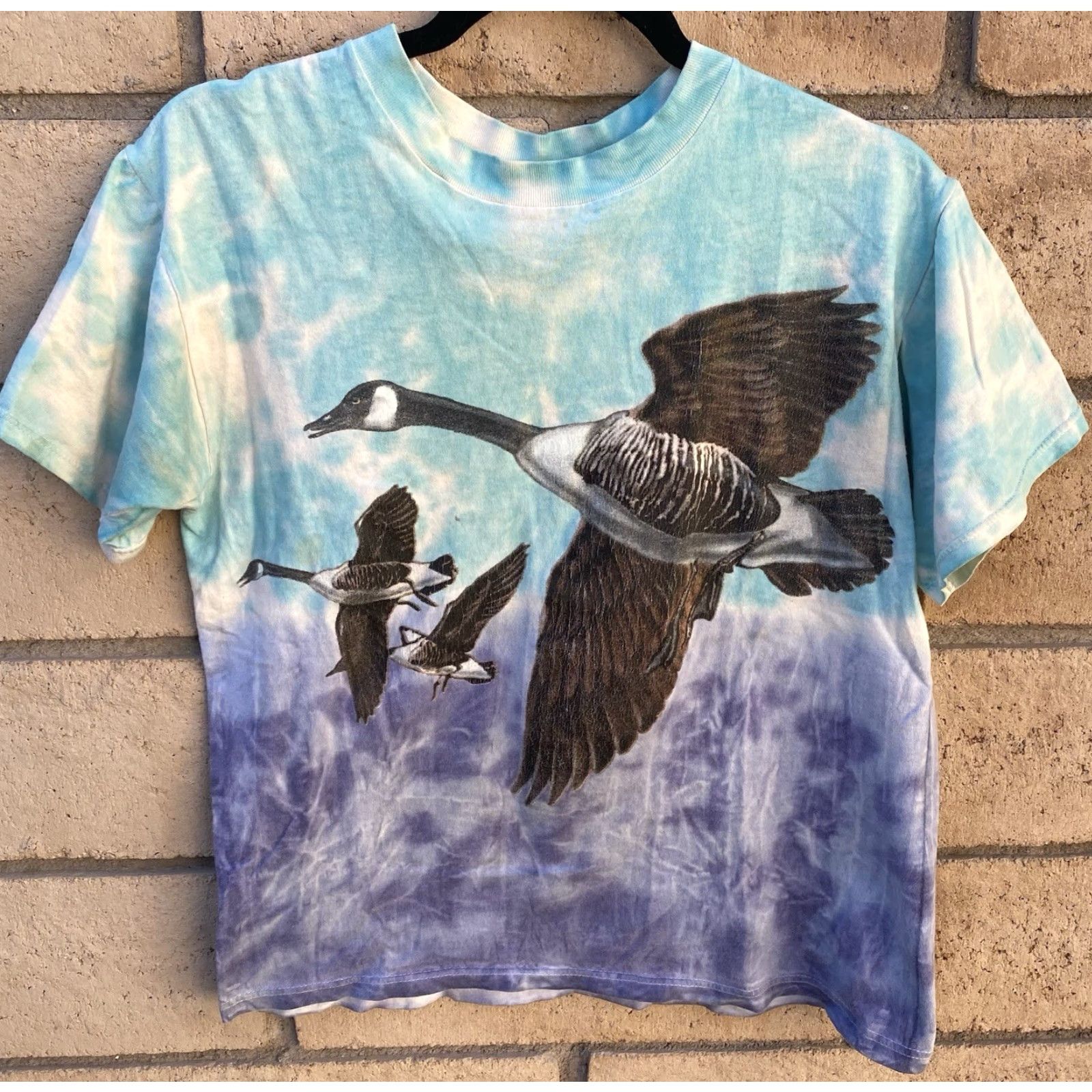Fruit Of The Loom VINTAGE Canada Goose Graphic Tee Tie Dye T Shirt Worn Size M Nature Tee 90s Size US M / EU 48-50 / 2 - 2 Thumbnail