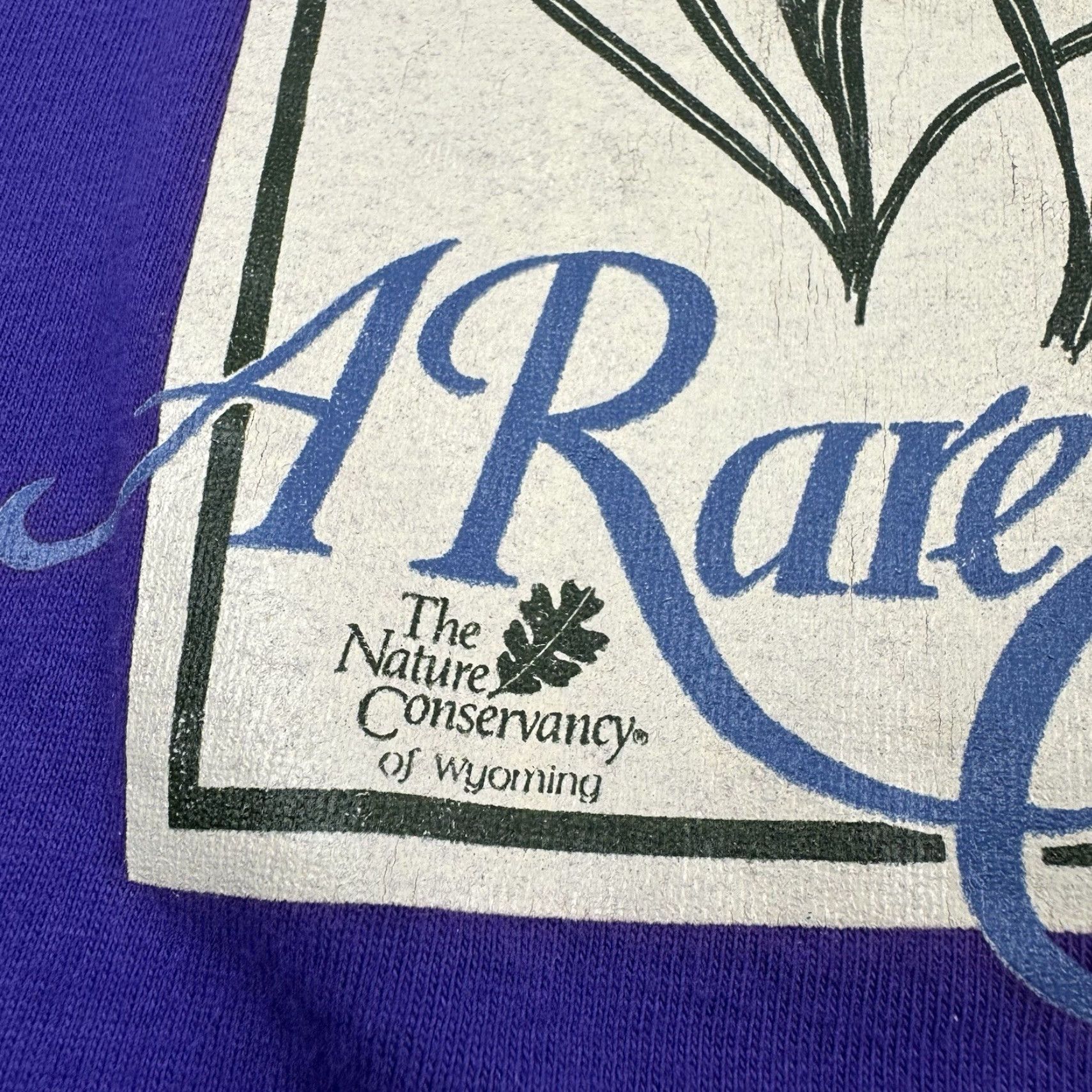 Hanes Vintage, Yes, Vintage Plant Nature T Shirt Adult XL Purple Tensleep Preserve Flower 90s Size US XL / EU 56 / 4 - 4 Thumbnail