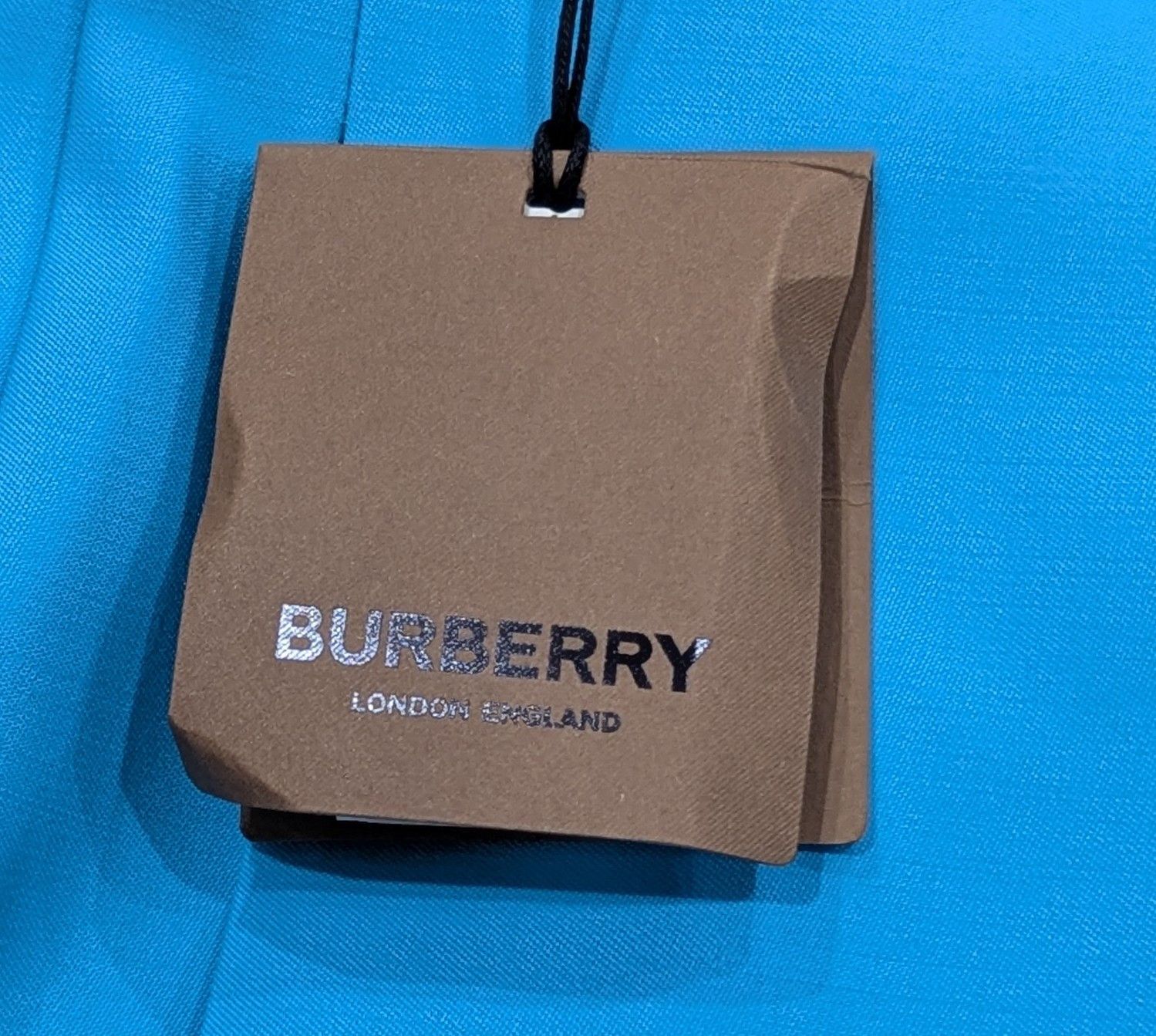 Burberry Burberry Tailored Wool Trousers Pants Bright Opal 52 US 36 Size US 36 / EU 52 - 8 Thumbnail