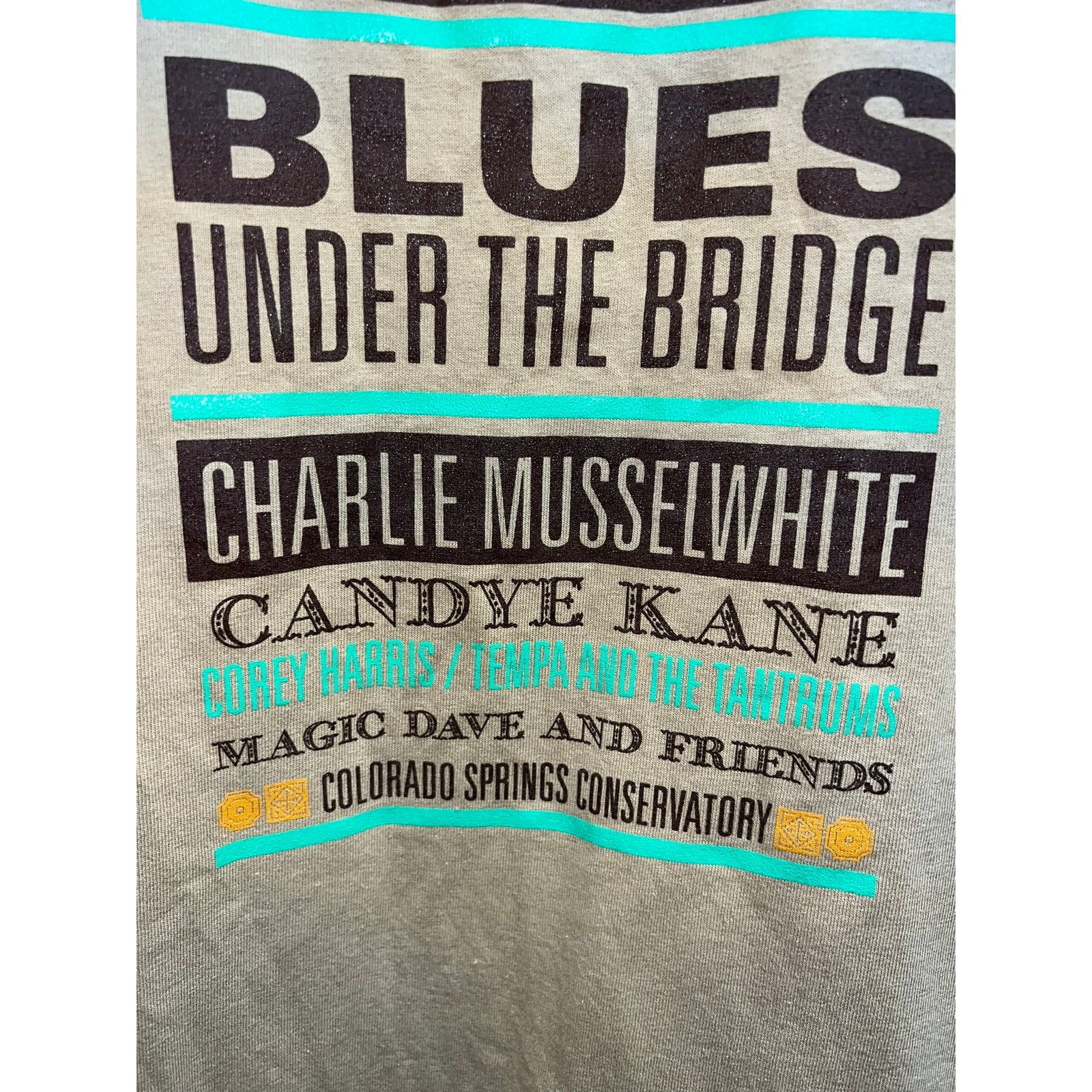 Gildan Blues Under The Bridge Shirt Colorado Springs Conservatory X Size US XL / EU 56 / 4 - 4 Thumbnail