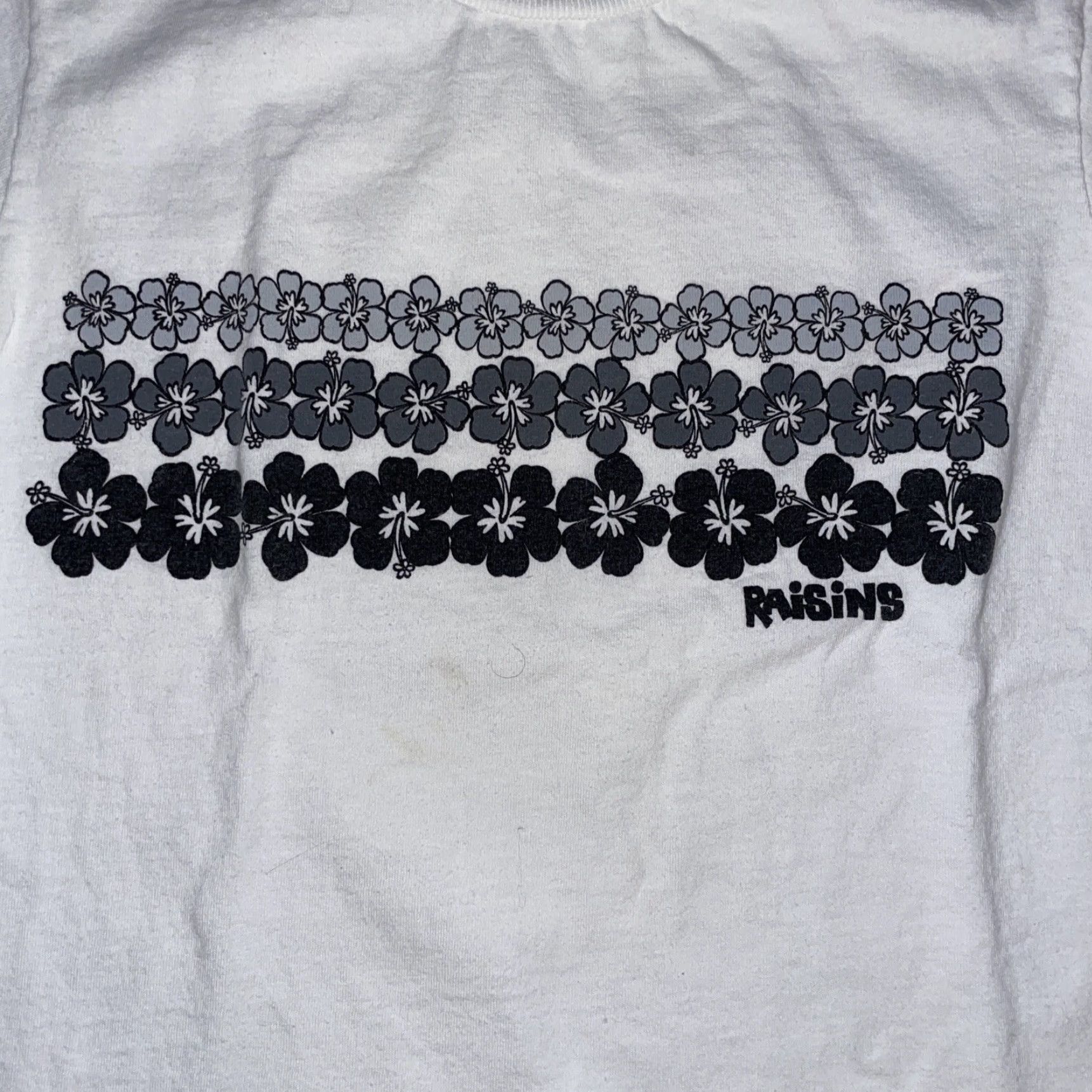 Vintage VINTAGE Raisins T-Shirt White S Hawaiian Men Small Size US S / EU 44-46 / 1 - 2 Thumbnail