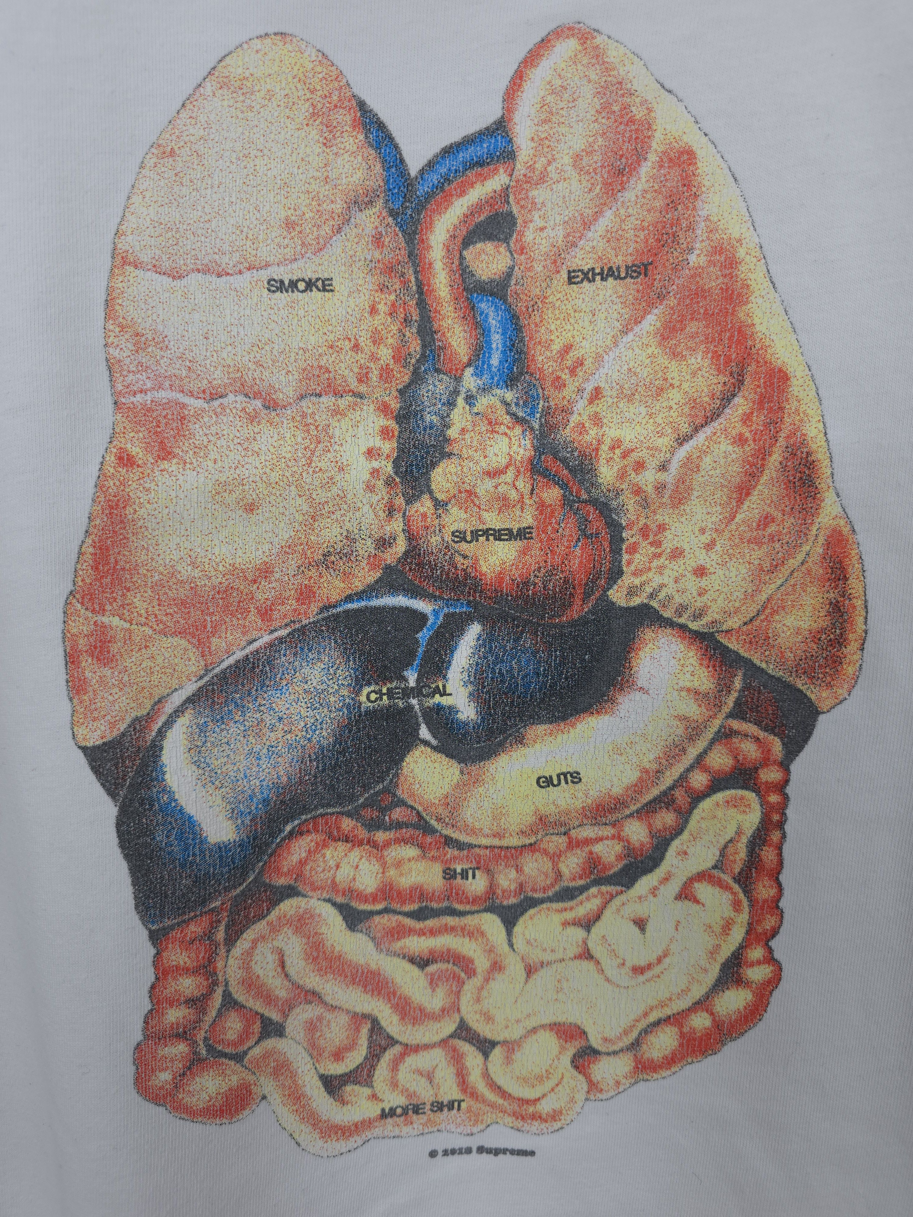 Supreme Supreme Guts Tee 2018 white Size US M / EU 48-50 / 2 - 7 Thumbnail
