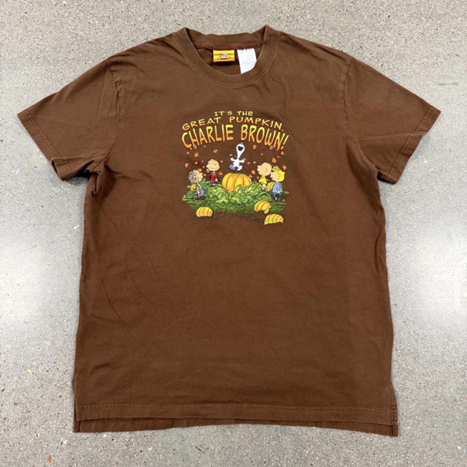 Peanuts Vtg Peanuts Great Pumpkin Charlie Brown T-Shirt - M Size US M / EU 48-50 / 2 - 1 Thumbnail