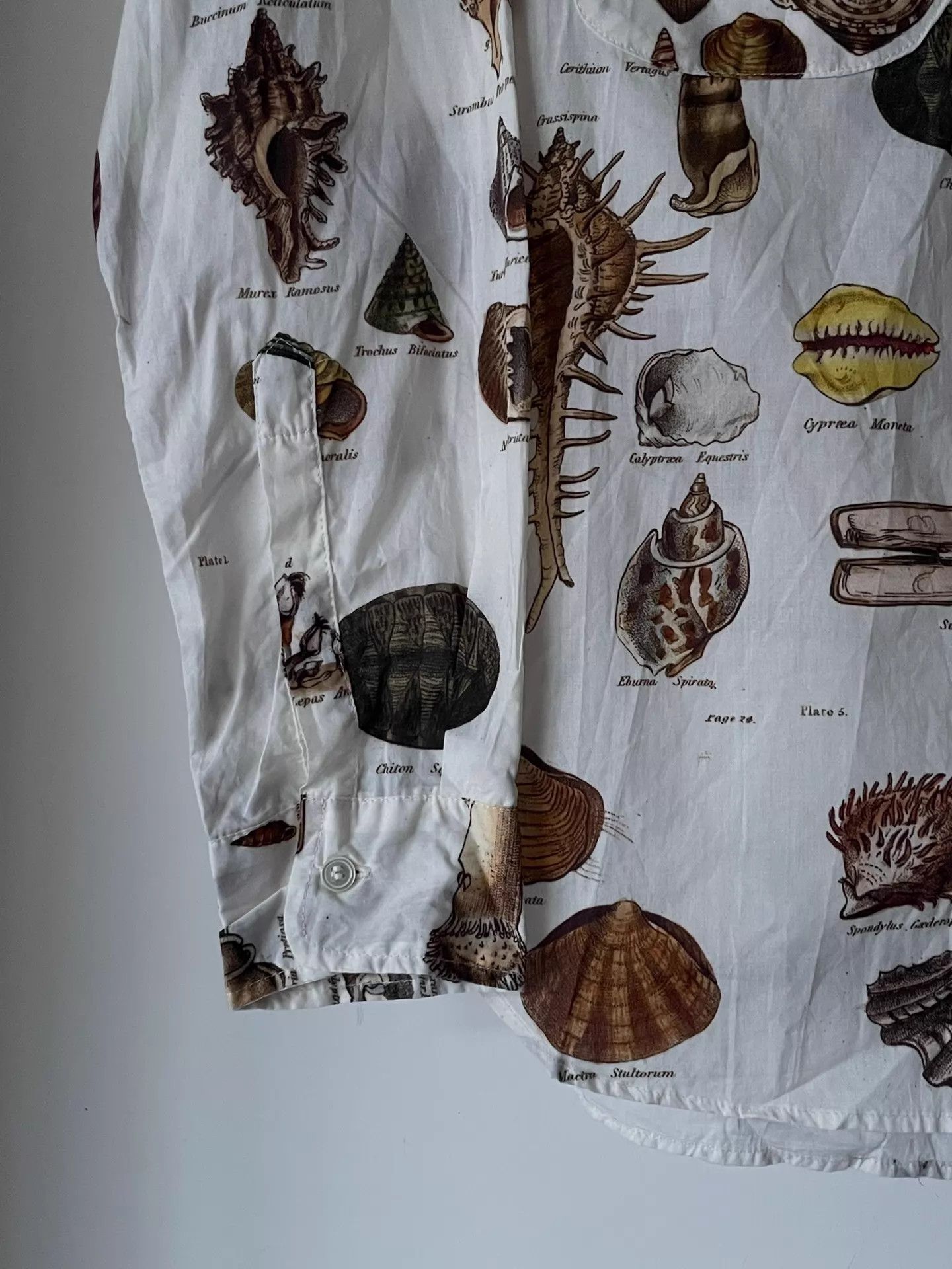 Paul Harnden Shoemakers Paul Harnden S/S16 Shell Print Cotton Shirt M Size US M / EU 48-50 / 2 - 5 Thumbnail